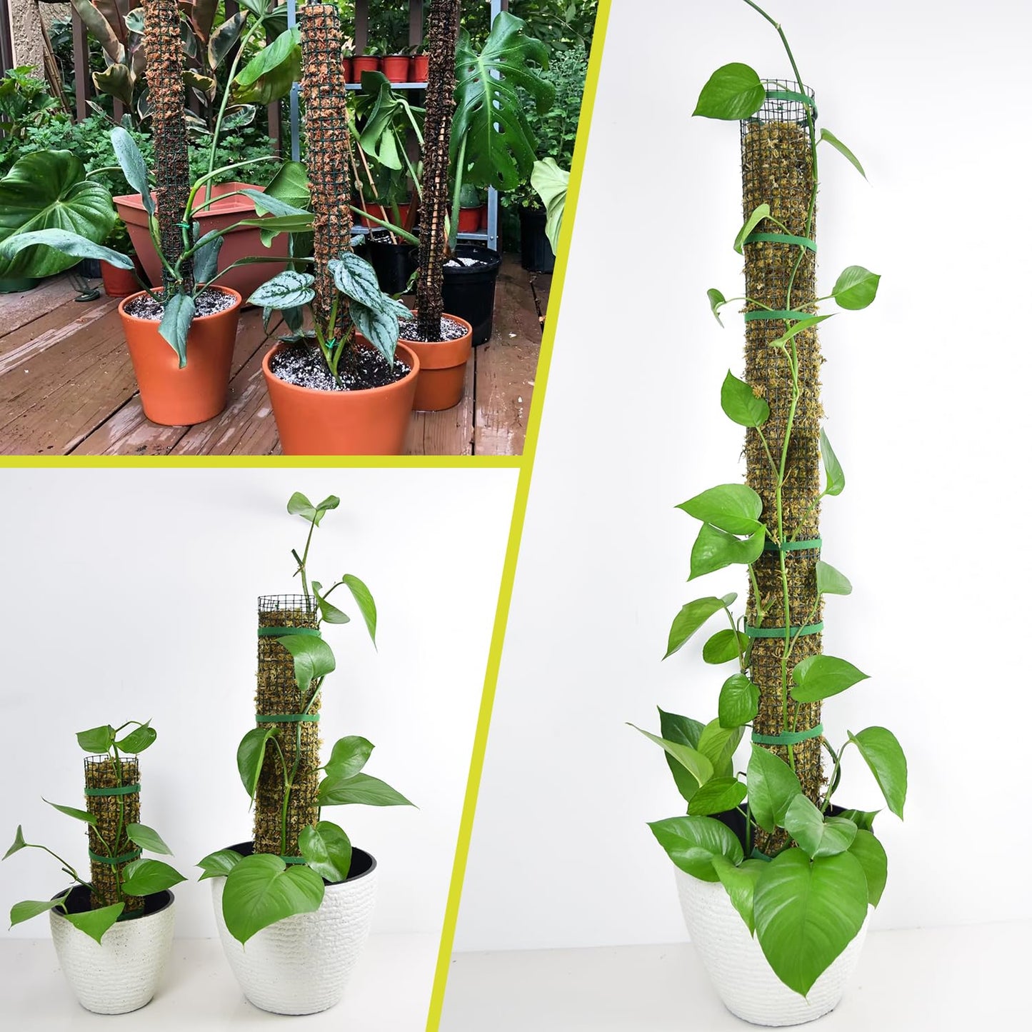 HOLANHING 6 Pack Metal Moss Pole, 15" Moss Poles for Plants Monstera, Stackable Sphagnum Moss Pole for Climbing Plants (6 Pack 15")