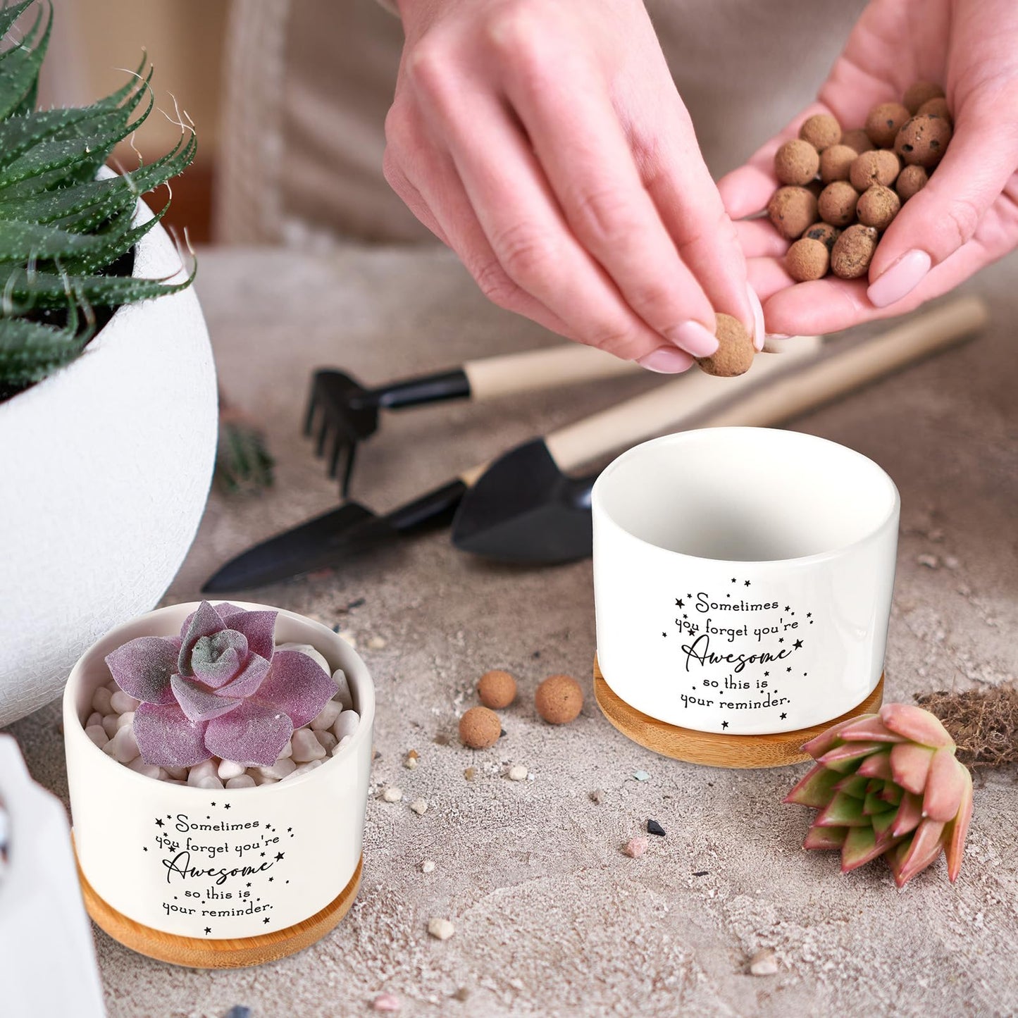 Seewey 12 Pcs Inspirational Succulent Pots Thank You Gift Bulk for Women Employee Teacher Coworker Sometimes You Forget You're Awesome Small Ceramic Plant with Bamboo Trays for Office Staff Graduation