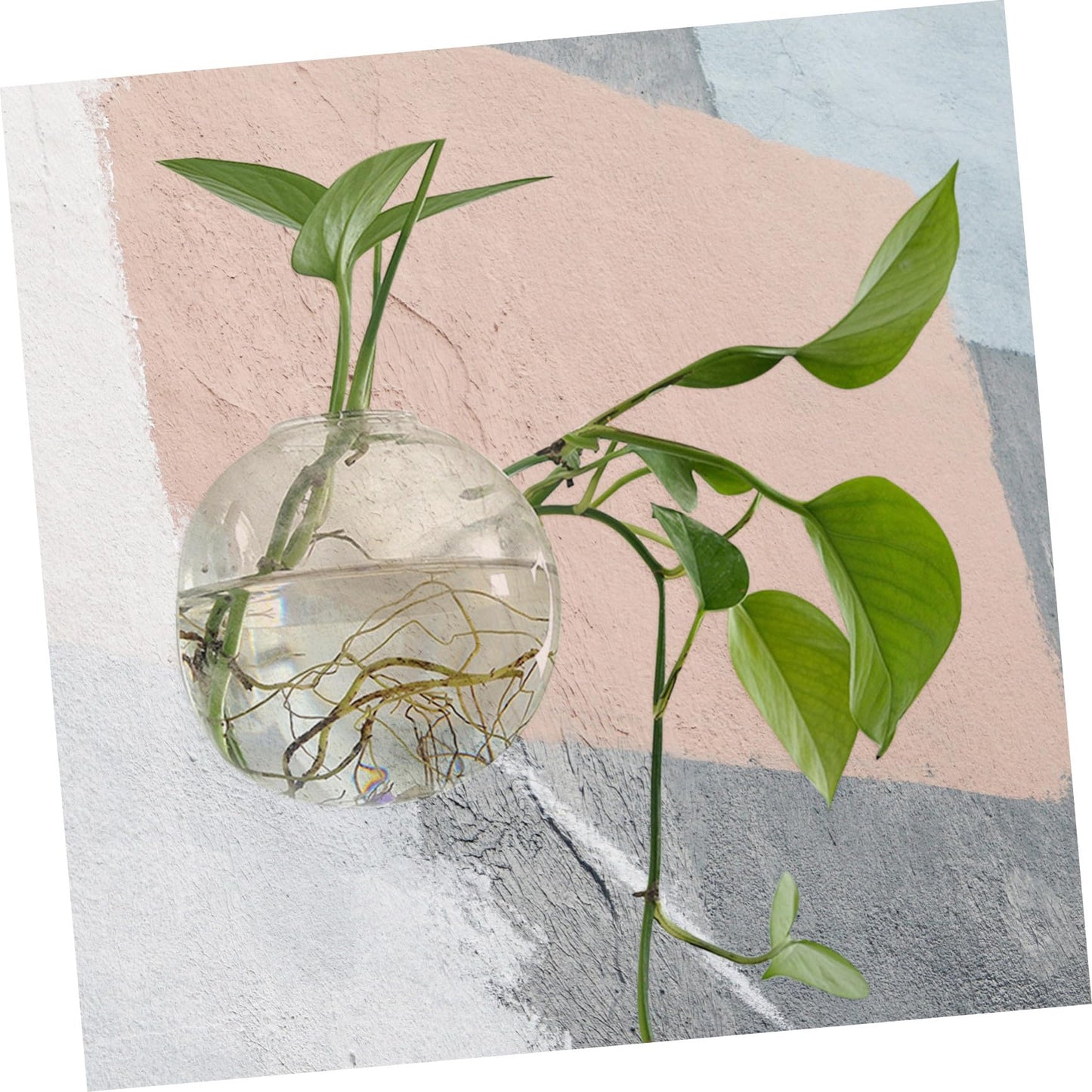 UKCOCO Hydroponic Wall Hanging Glass Flower Vase Creative Terrarium Planter for Indoor Decor Modern Transparent Flowerpot for for Plant Arrangement