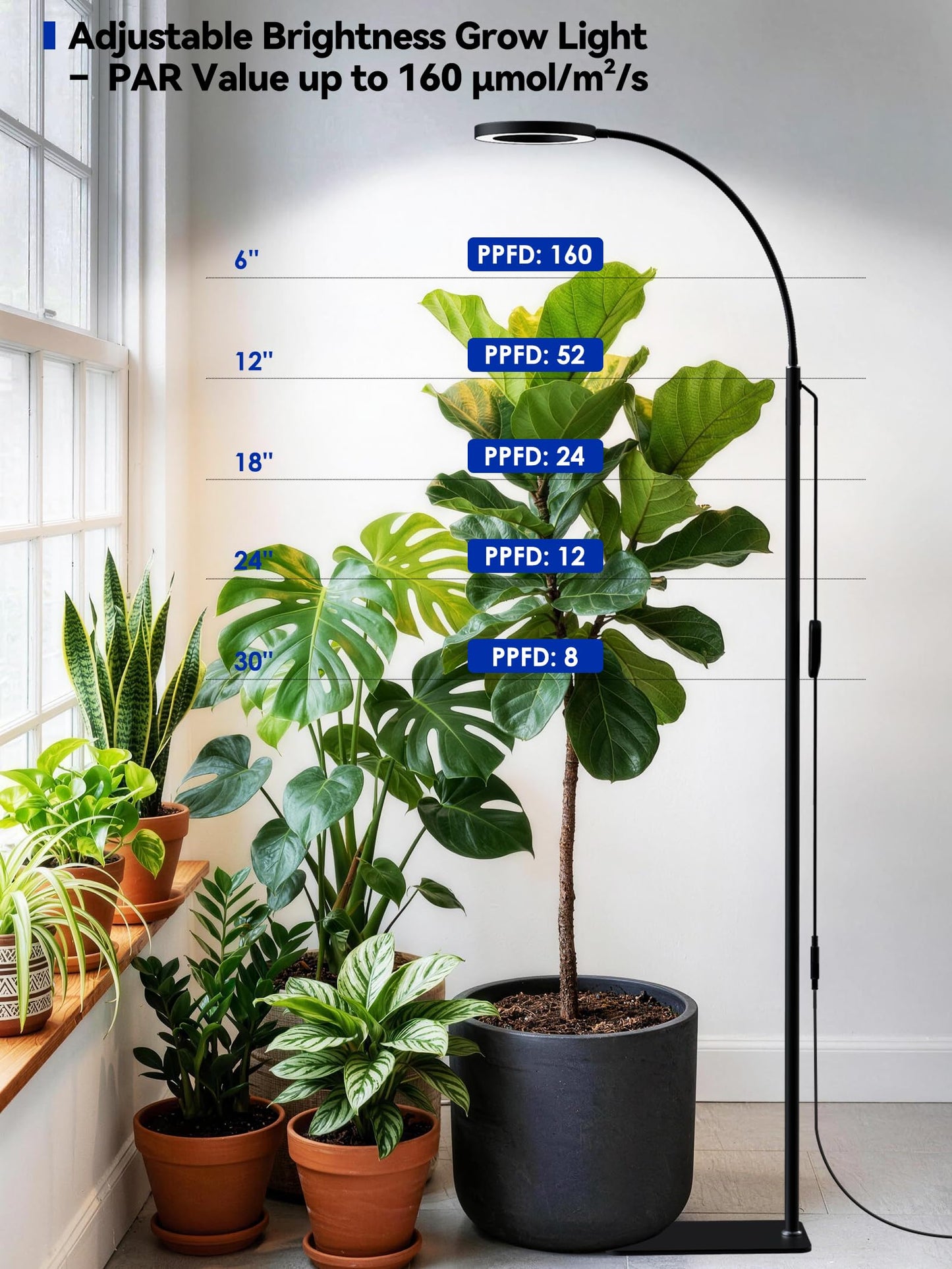 GLOWRIUM Grow Lights for Indoor Plants, Full Spectrum LED Grow Light Floor Lamp with Stand Adjustable Height and Angle, Black Plant Light with 3/9/12H Grow Light Timer (Black, 36W)