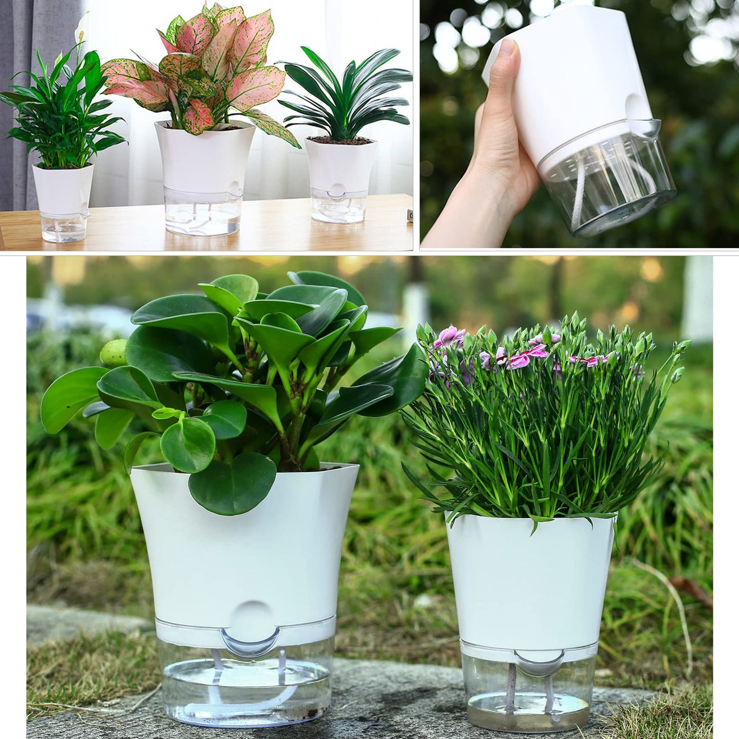 10-Pack 4.33" Clear Self Watering Pots for Indoor Plants Large Hexagon Self-Watering Planters Orchid Pots Plastic Wick Flower Plant Pots for African Violet, Spider, Herbs, Home Decor, White and Clear
