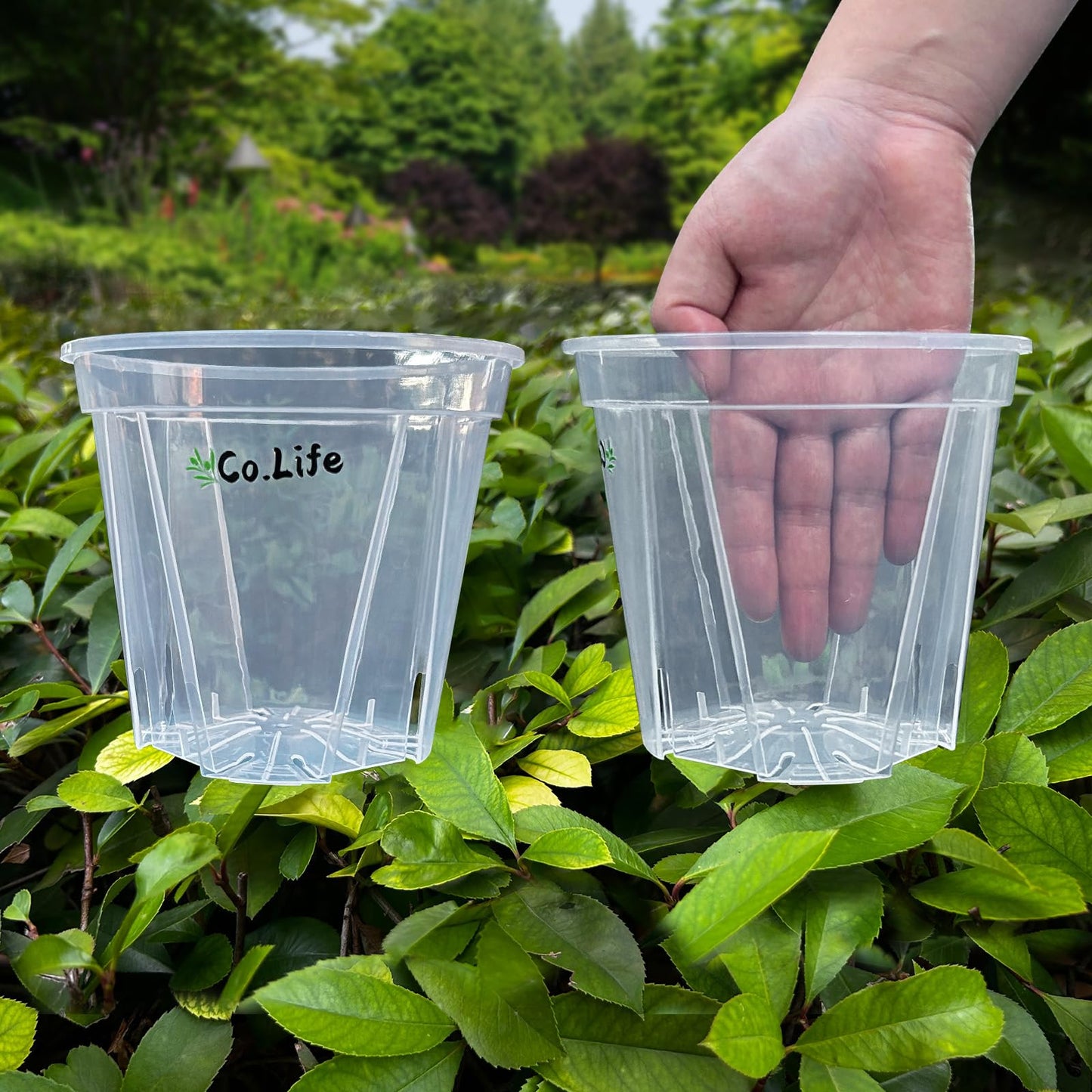 Co.Life 18 Pack Clear Plant Pots with Drainage, 5/6/7 Inch Thick Clear Plastic Pots for Plants, Indoor Outdoor Planter Set with Saucers & Plant Labels for Monstera, Succulents, Herbs