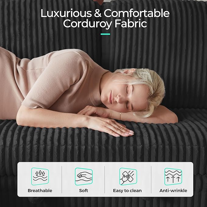 LINSY HOME Sectional Sleeper Sofa Pull Out Couches