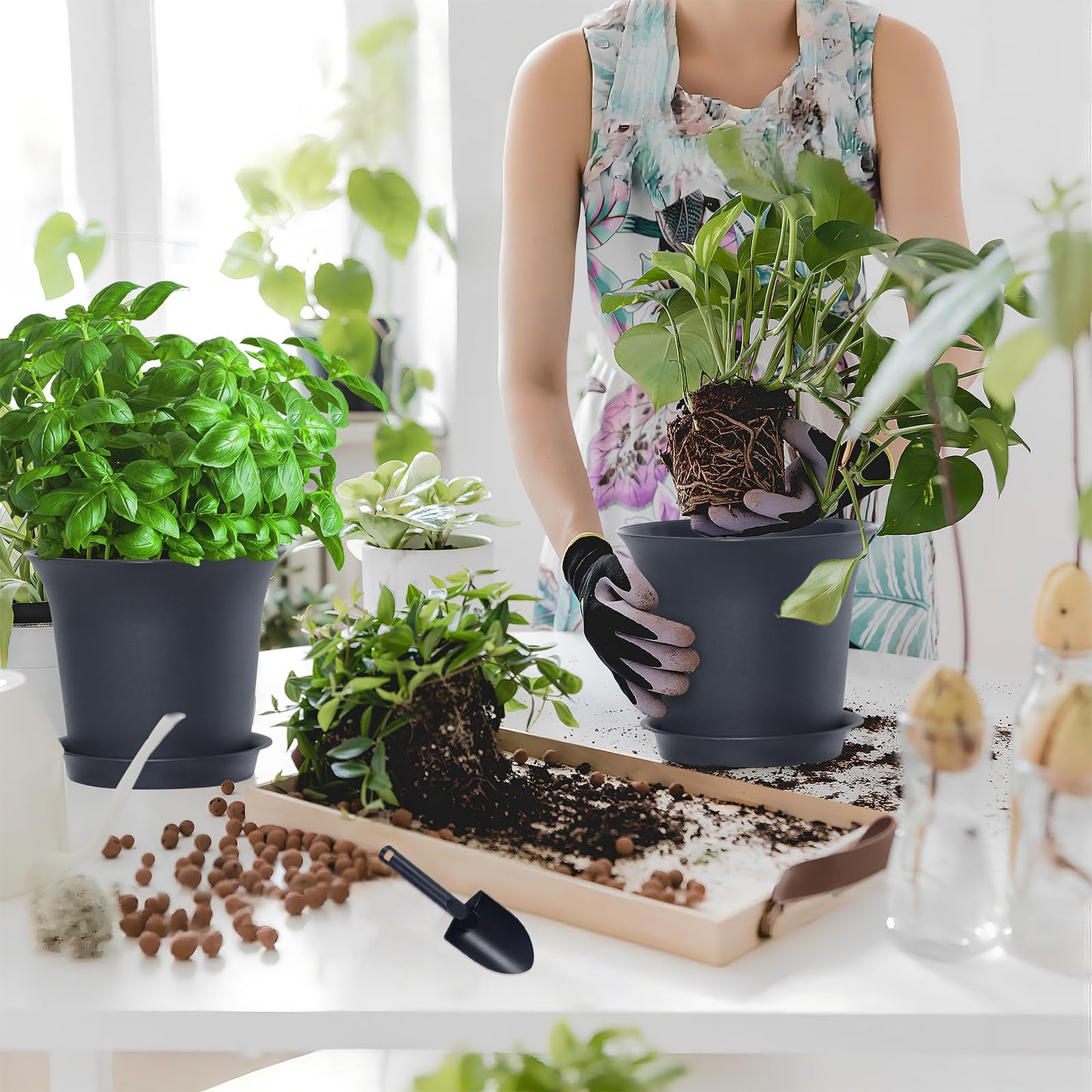 Oliz Planter Pots 8 Packs, 7.2 Inches Flower Pots with Drainage Holes & Trays, Ideal for Succulents, Herbs, Flower, African Violet, Garden Plant Pots for Home Garden Kitchen Decor (Dark Grey-2)