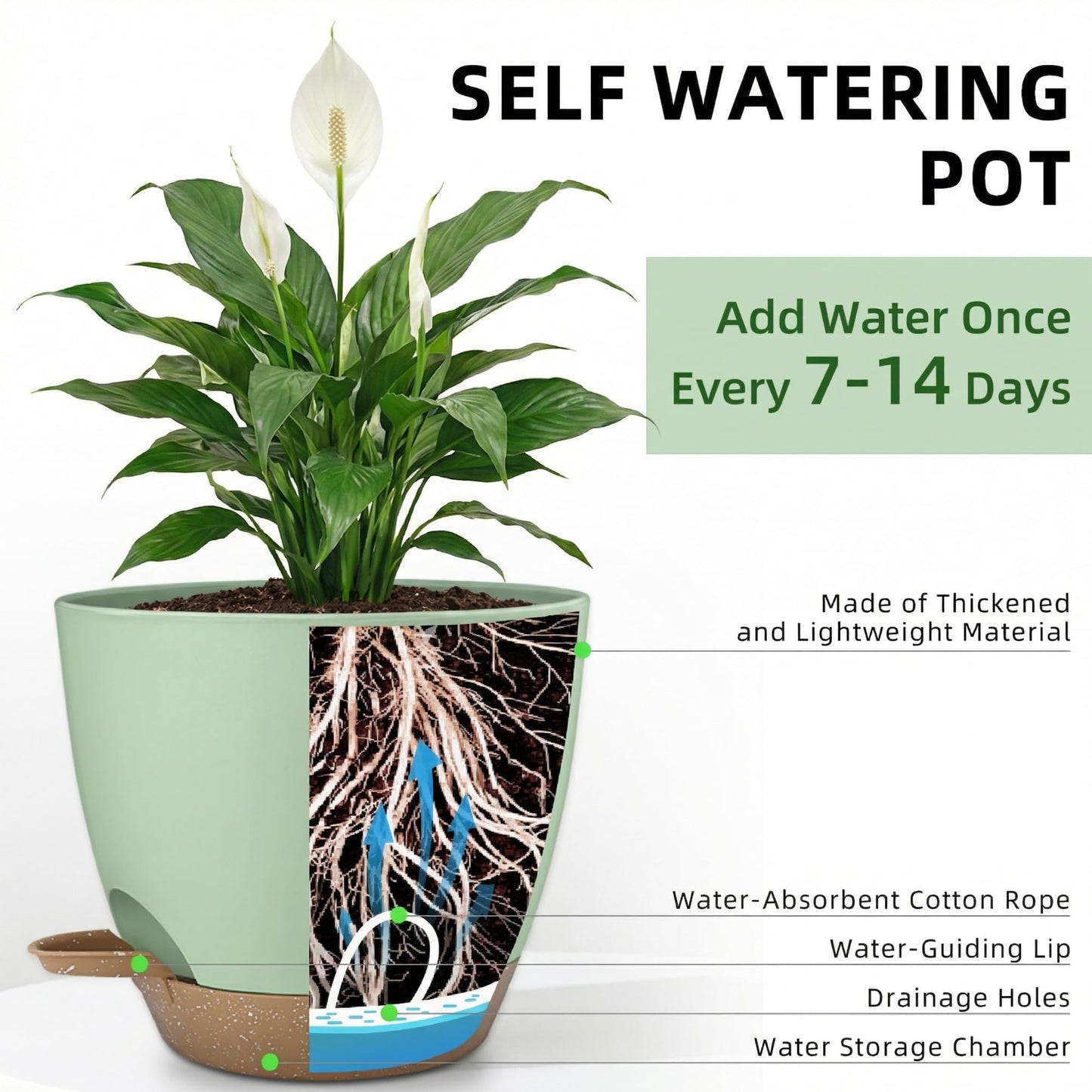 Hylitong Plant Pots 8/7.5/7/6.5/6 Inch Self Watering Pots,5 Pack Planters with Drainage Holes and Saucers,Plastic Flower Pots,Nursery Planters for Indoor Outdoor Plants (Green)
