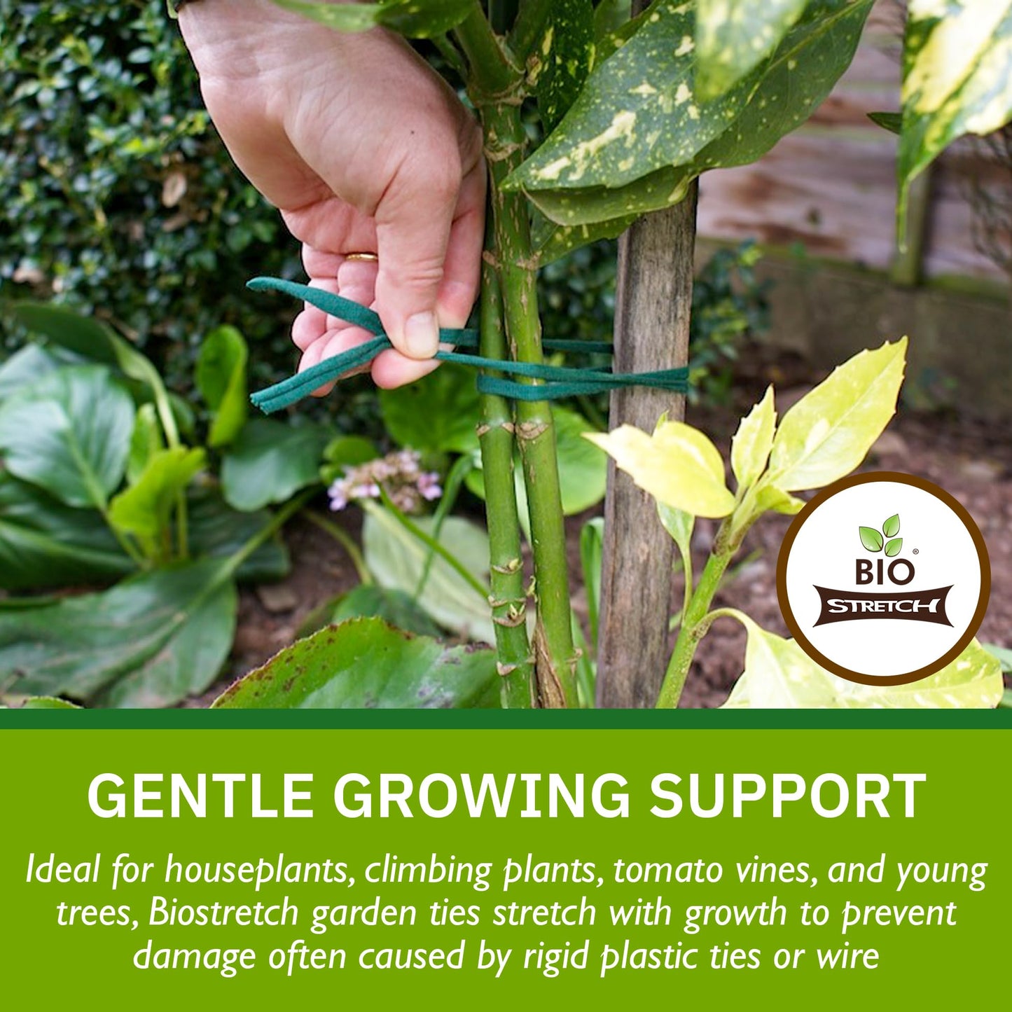 Biostretch Soft Garden Plant Ties for Indoor & Outdoor Plants - Strong & Stretchy Cut-to-Length Plant Tape for Climbing Plants, Tomato Vines & Home Gardening (656 ft / 200M)
