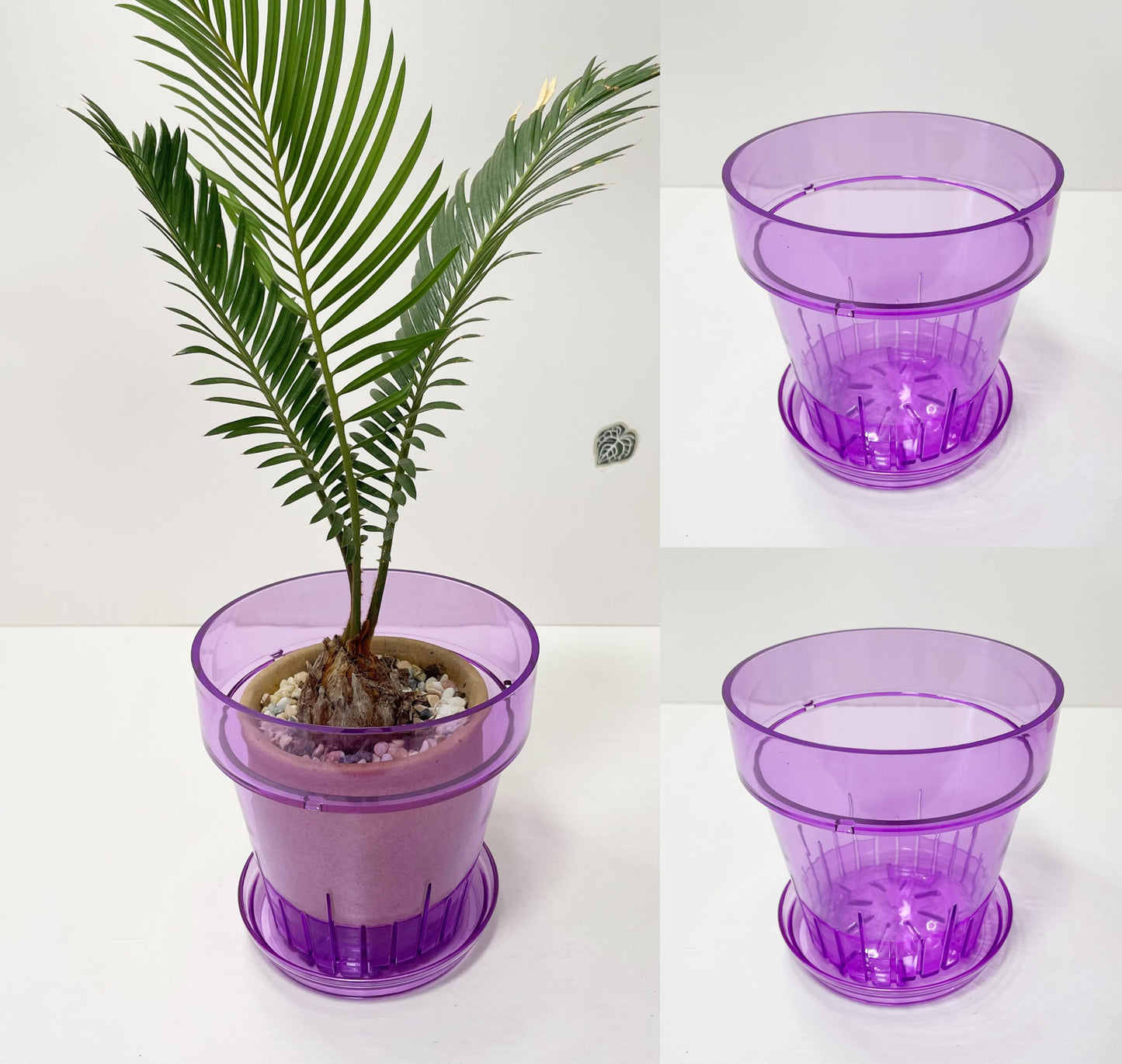 RISEON 3 Pack Clear Acrylic Plastic Orchid Pots with Holes and Saucers,Thick Acrylic Planter Pot, Orchid Dendrobium Oncidium Cattleya Repotting Pot Indoor Outdoor (Violet)