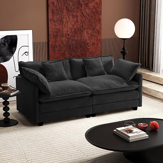 Ihanherry Cloud Sofa 77 Inch Loveseat, Modern Sectional Couch, 2-Seats Sofa