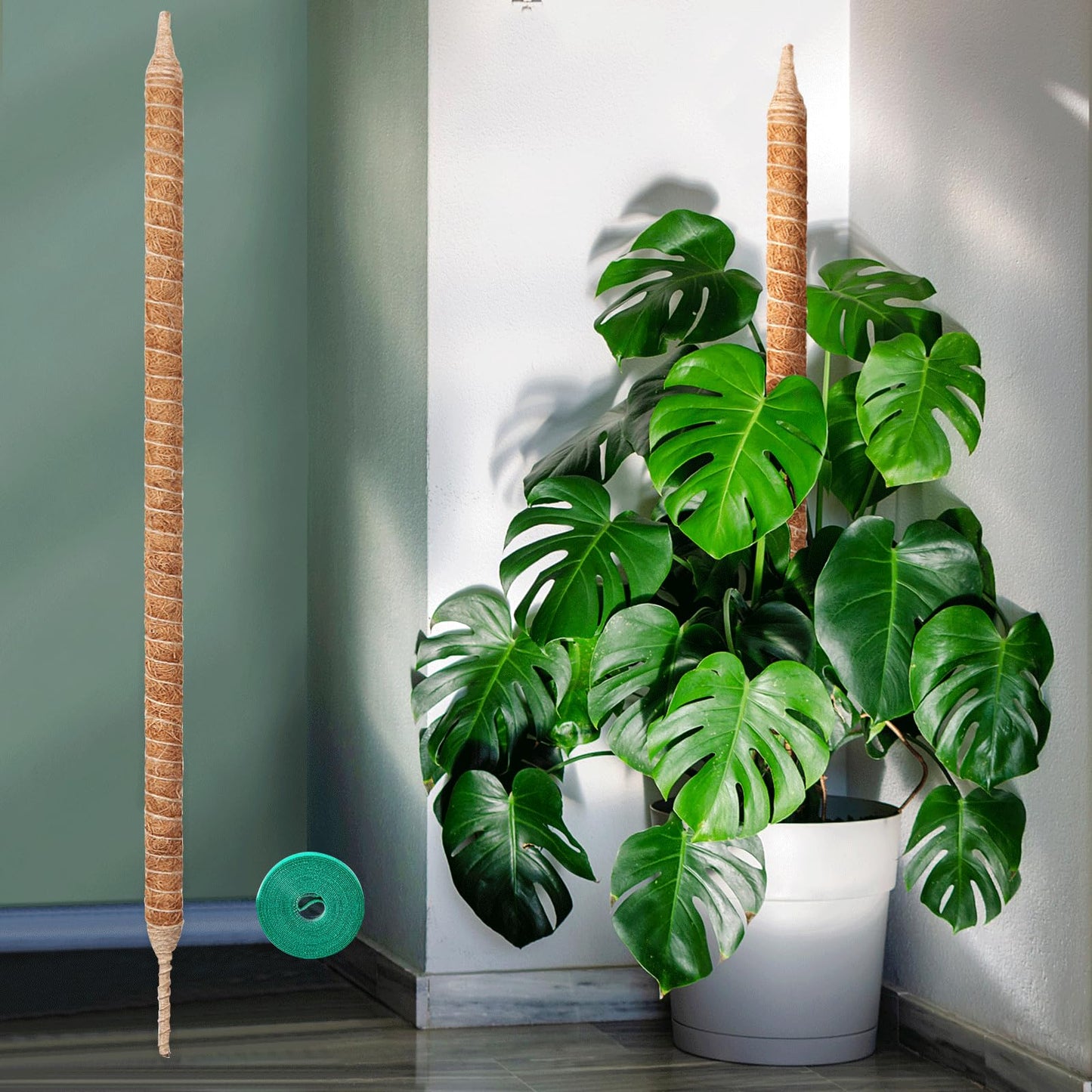 Vanut Bendable & Sturdy Moss Pole Monstera Plant Support, 48in Moss Sticks for Indoor Plants Climbing, Adjustable Coco Coir Pole for Pothos, Philodendron, Fishbone Cactus