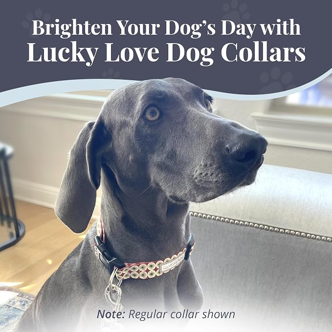 Lucky Love Dog Martingale Dog Collar - Adjustable, No-Slip, Durable, & Soft Webbing Collar for Male and Female Dogs Ideal for Training & Walking - in Unique Pongo Pattern, Small