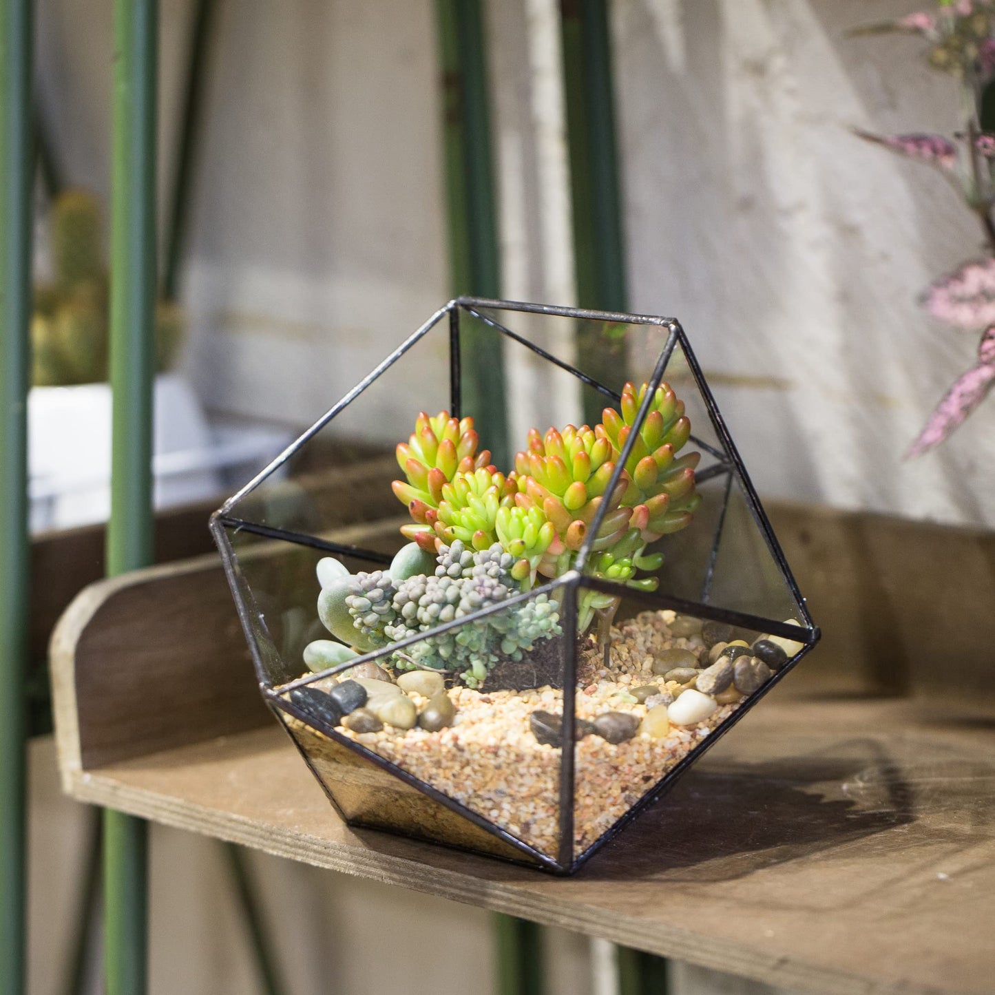 NCYP Opened Geometric Glass Terrarium, 6.69" Bowl Shape Planter for Succulent Plant Cacti, Indoor Balcony Irregular Decor, Garden Miniature Pot, Tabletop Centerpiece (No Plants)