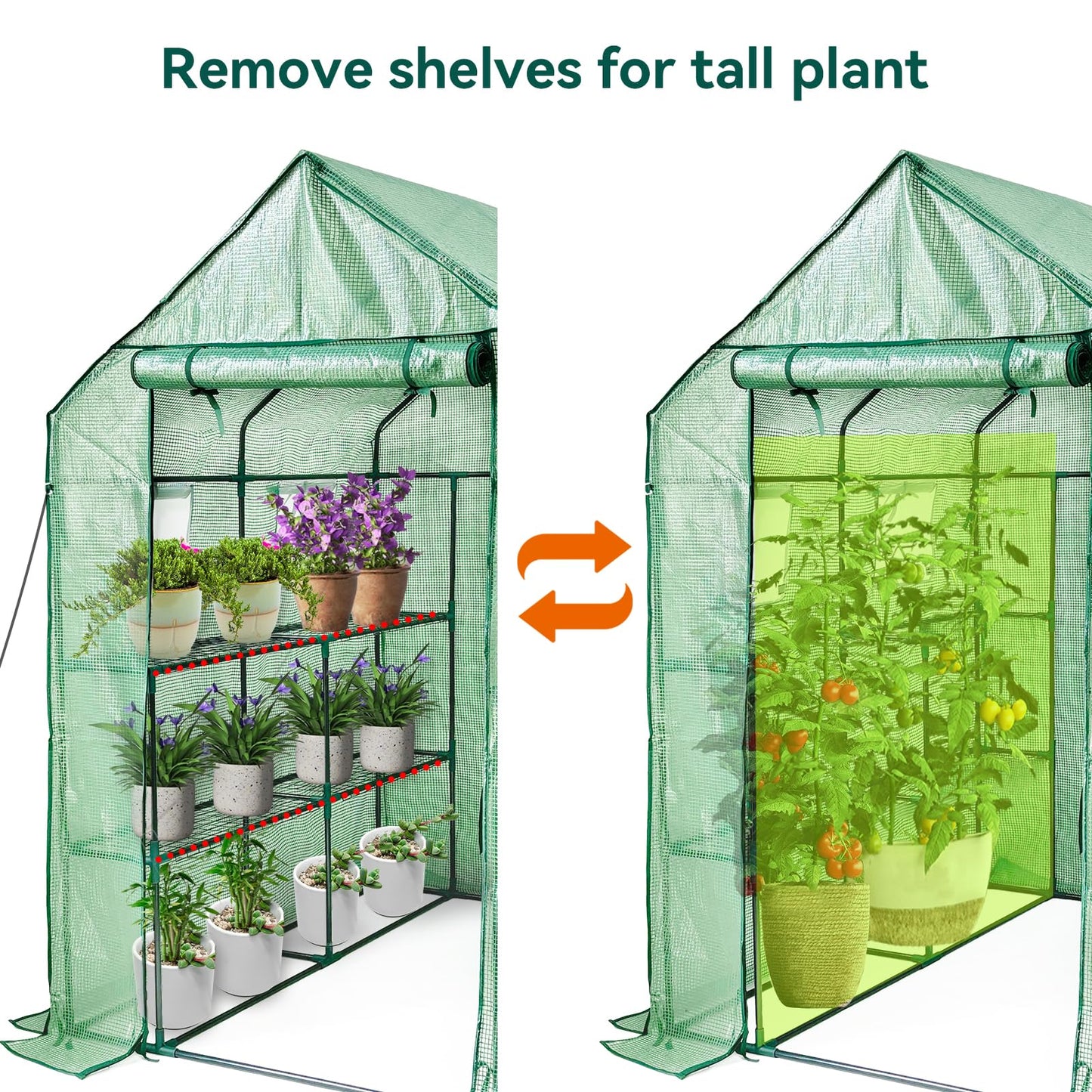 Walk in Greenhouse with Shelves,Plastic Growhouse Frame for Garden,12 Tiers Green House with Reinforced PE Cover and 4 Windows,56" L x 56" W x 77" H,for Indoor Outdoor Seeding and Plant Growing