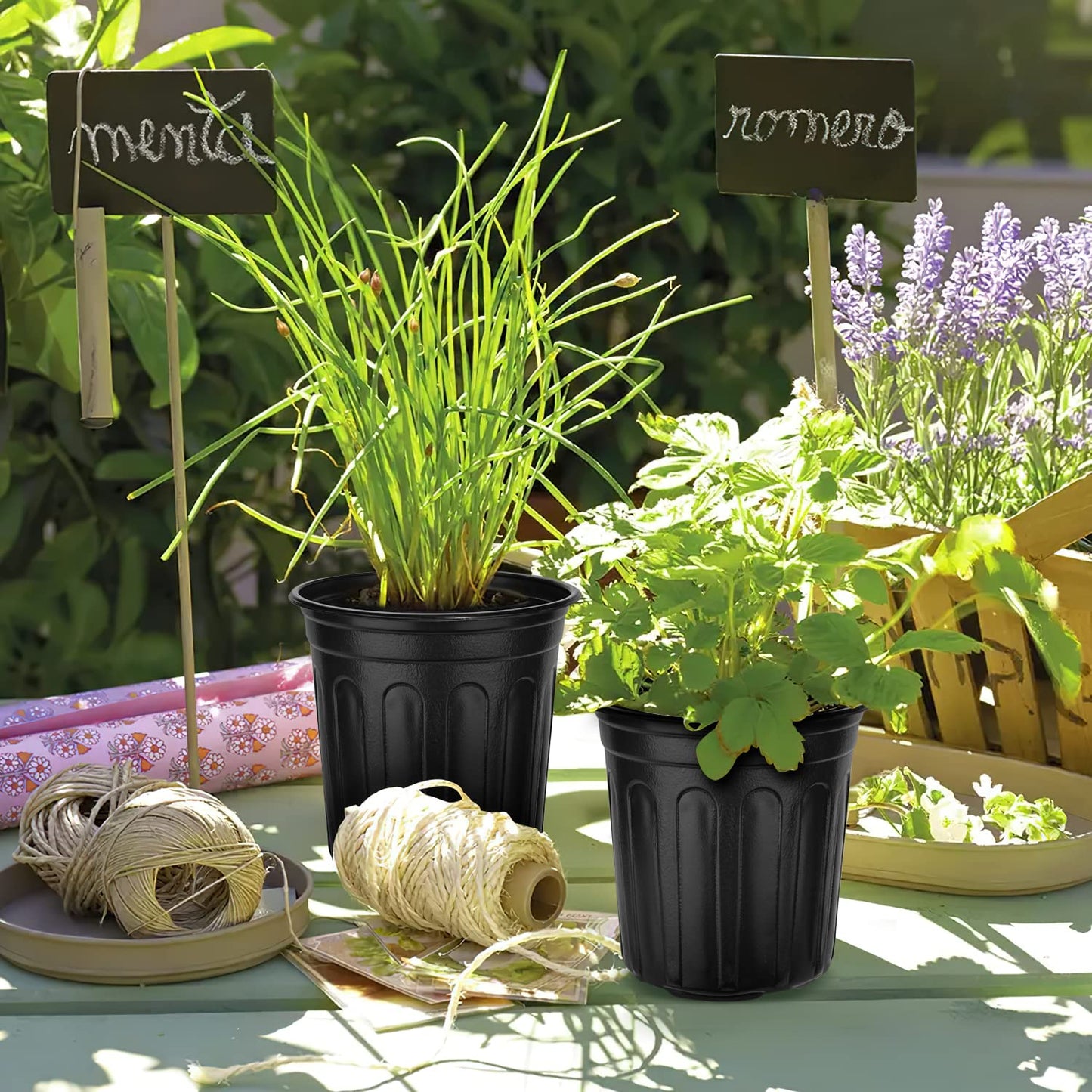 RAOOKIF 3 Gallon Pots for Plants, Flexible 1/2/3/5 Gallon Nursery Pot with Drainage, 3 Gallon Plastic Pots for Plants