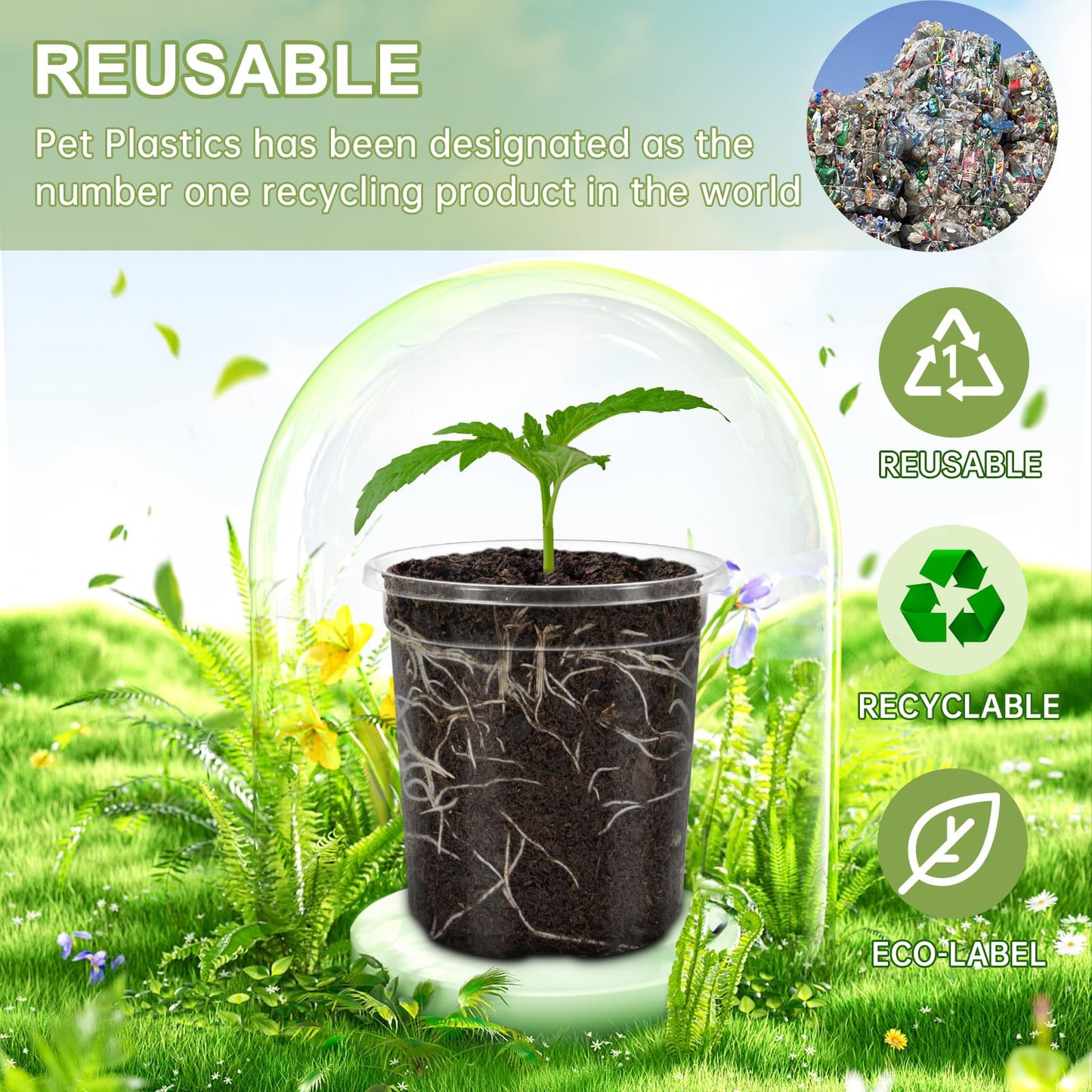 WandaQueen 30 Packs 4 Inch Reinforced Clear Nursery Pots for Plants with Drainage Holes, High Transparency Plastic Seedling Plant Pot with Drainage Holes Have 20 Labels
