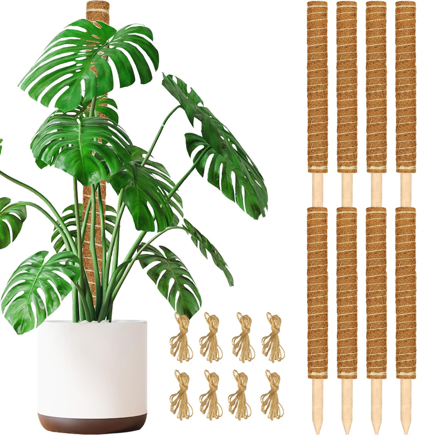 JJGoo Moss Pole for Plants Monstera,【8 Pack】 23.6 inch Plant Support Pole, Extendable Coir Totem Pole for Potted Plants Pothos, Train Indoor Climbing Plants to Grow Upwards