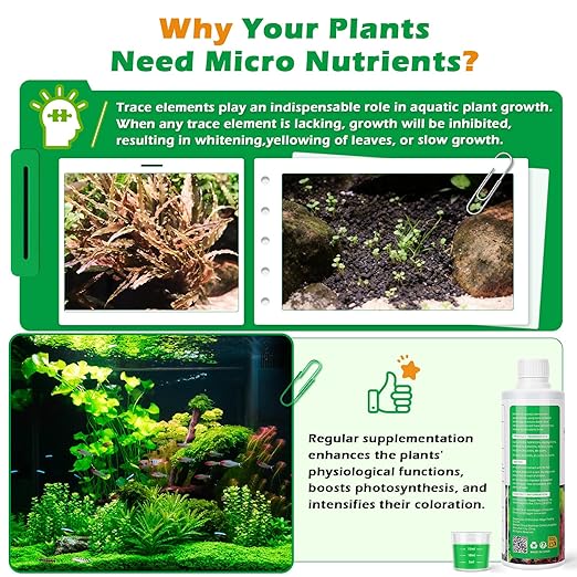 HC035 All-in-One Liquid Aquarium Plant Fertilizer - with Essential Micro & Macro Nutrients for Freshwater Planted Tanks, 150ml/500ml/1000ml (1000mL)