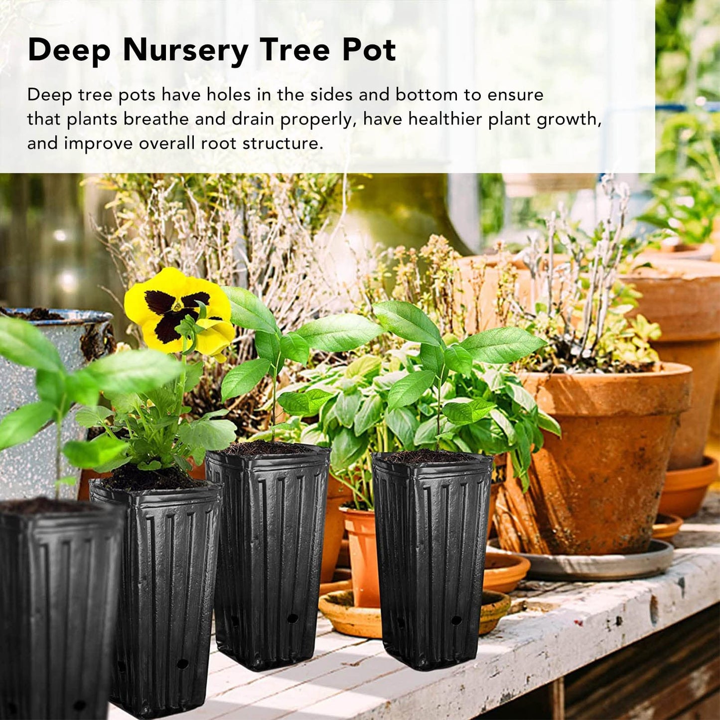 TOPINCN Deep Tree Pot Nursery Pots Outdoor Indoor Garden Seedlings Container Plants Treepots Tree Pots Flowers Plastic Container Pots Tall 20Pcs for Jar Nursery Baby Outside Kid Nursery