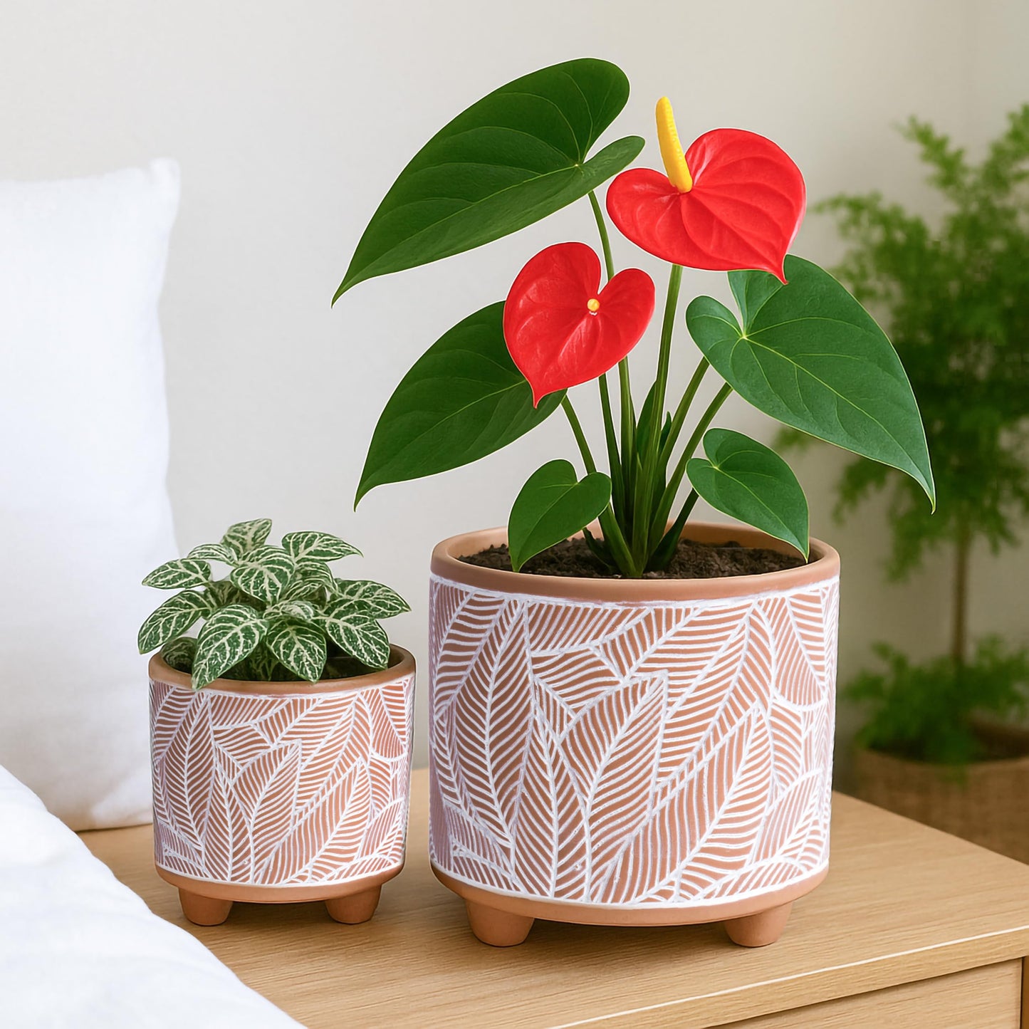 D'vine Dev Set of 2 Terracotta Planter Pots, 4 Inch & 6 Inch, Design Plants Pot with Drainage Hole, Sahara Fern, Terracotta/White, 31-953-H-1