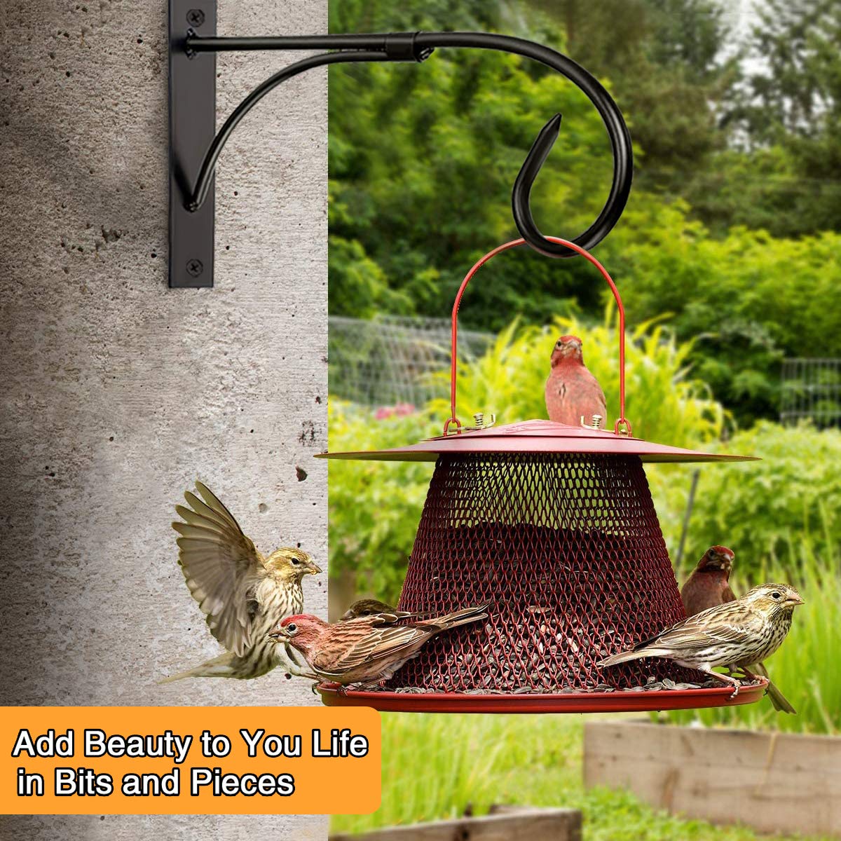 Iron Hanging Basket Brackets, 2 Pcs 11 Inch Durable Weather-Resistant Outdoor Plant Hooks for Hanging Plant Lantern Windchime Birdhouse Metal Sign Fruit Bracket, Screw Included