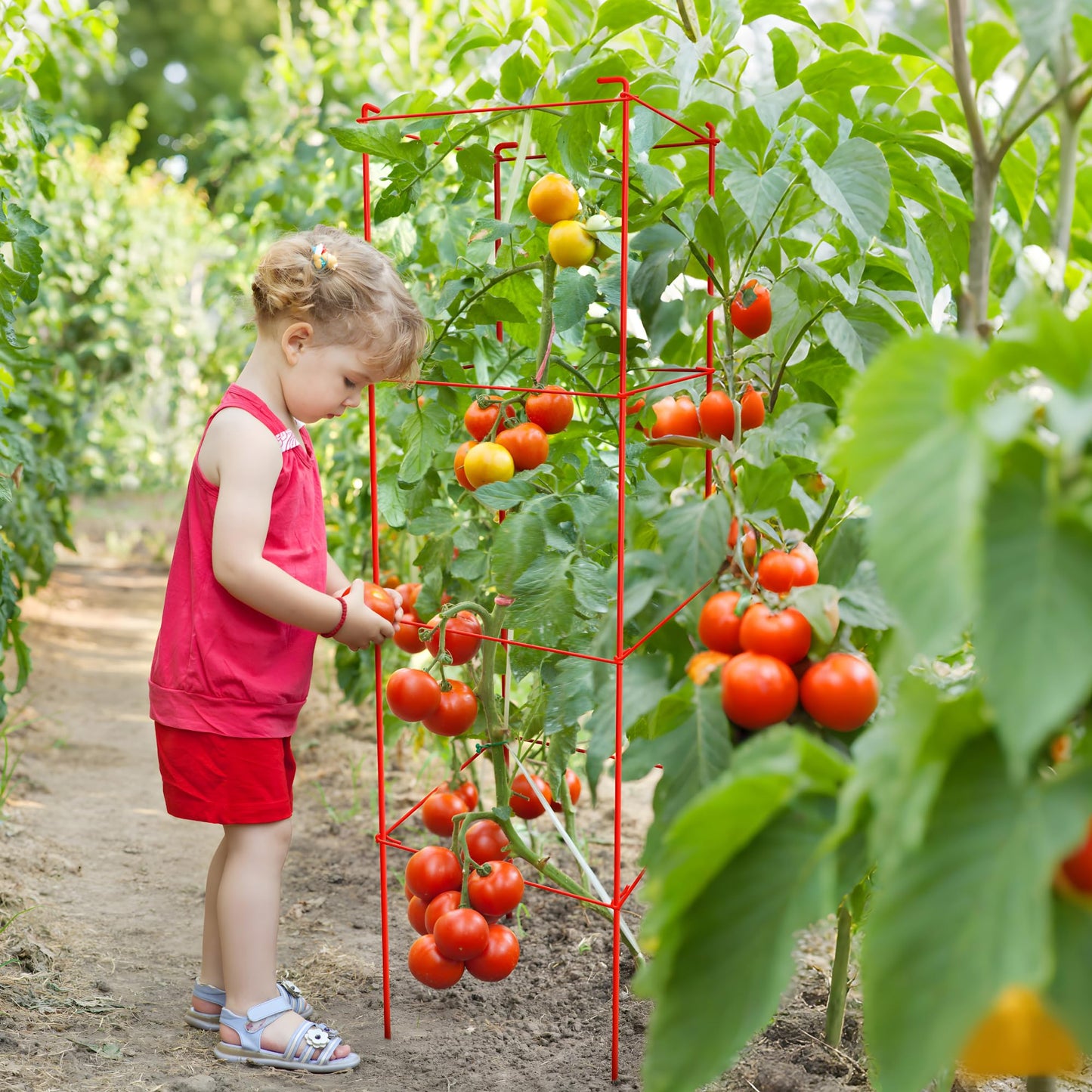 Thealyn Tomato Cages 6 Packs 46 Inch (H) Plant Stand with 164 Feet Twist Ties, Heavy Duty Garden Plants Support for Tomatoes, Cucumber, and Other Climbing Plants (Red)