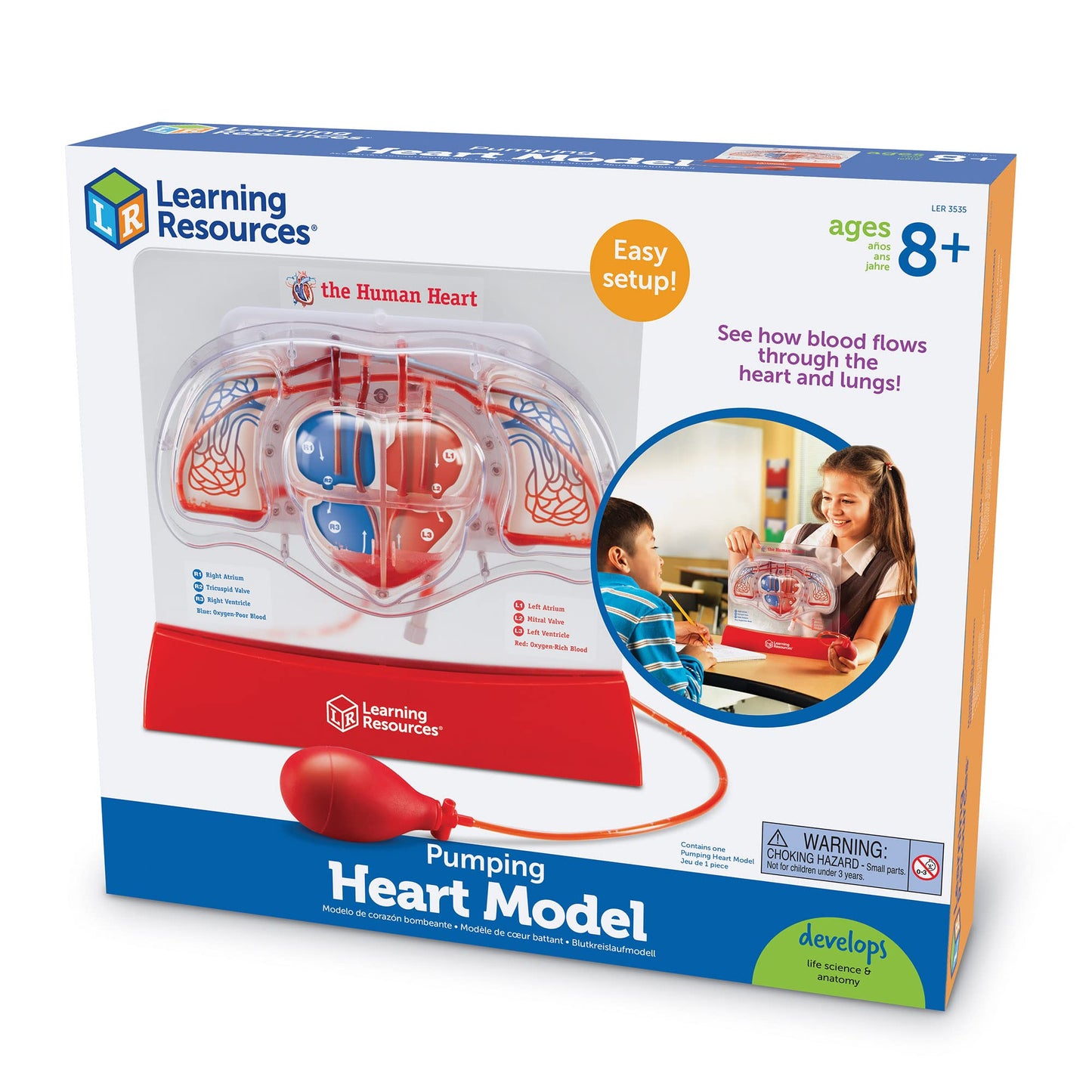 Learning Resources Pumping Heart Model - Science Classroom Must Haves, STEM Student Essentials, Practice Anatomy, Cardiology Artery and Veins Study Tools, Back to School Supplies for Teachers
