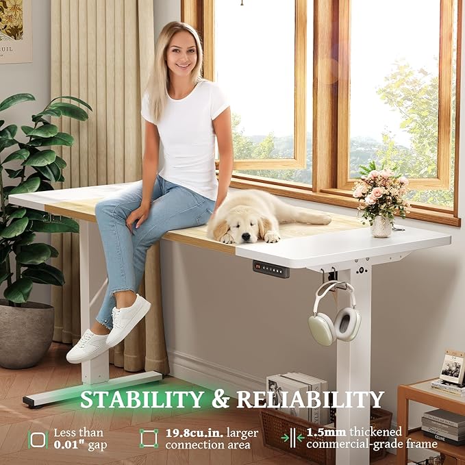SIAGO Electric Standing Desk Adjustable