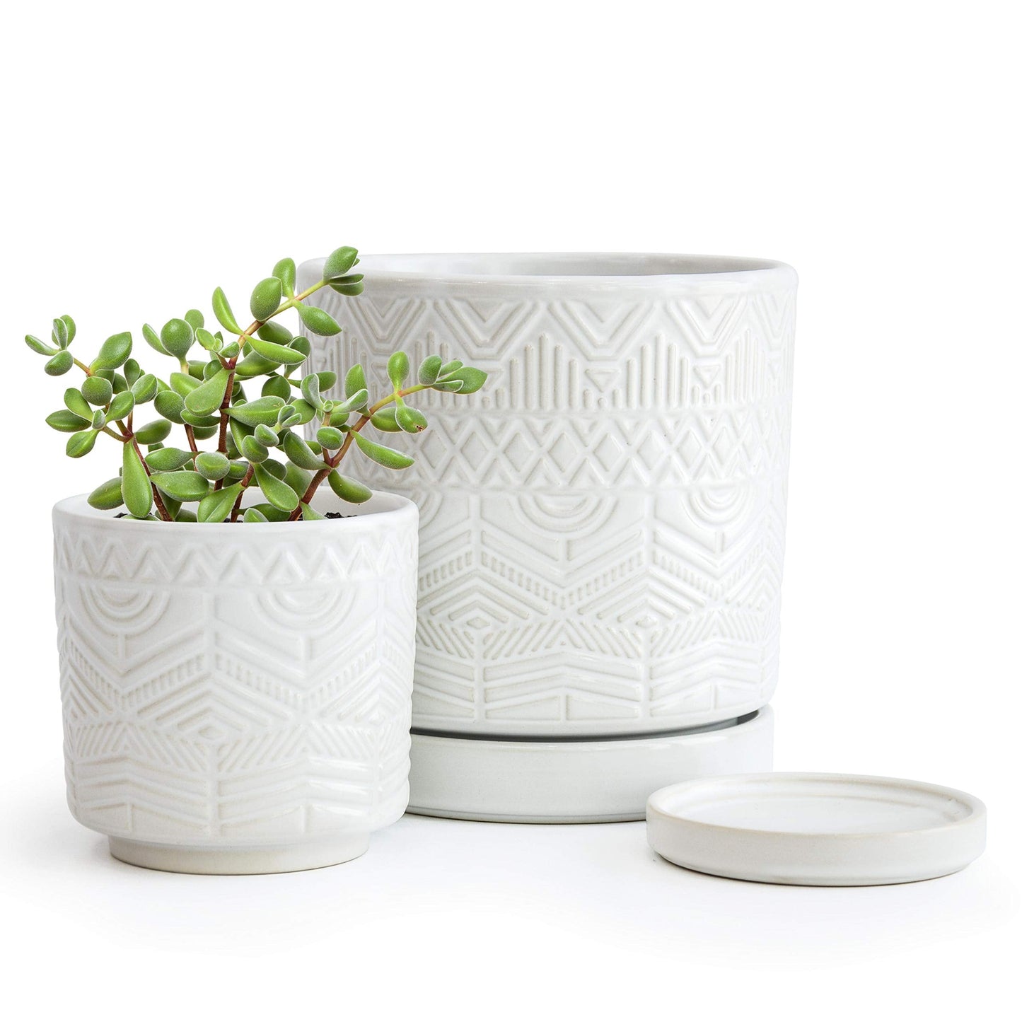D'vine Dev Set of 2 Modern Matte White Floral Embossed Ceramic Planter Pot with Saucer and Drainage Hole, 4 Inch & 6 Inch, 99-C-1-M