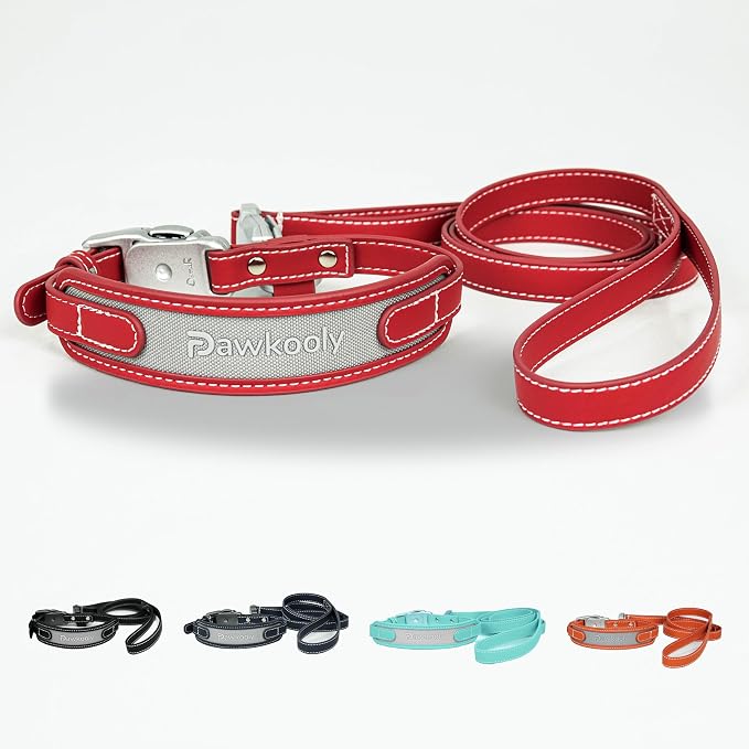 MagEase Dog Collar with 4FT Leash | Adjustable | Anti-Wrinkle, Bite & Stain-Resistant Leather | Soft & Skin-Friendly | 450LB Escape-Proof Magnetic Buckle (Red, Medium)
