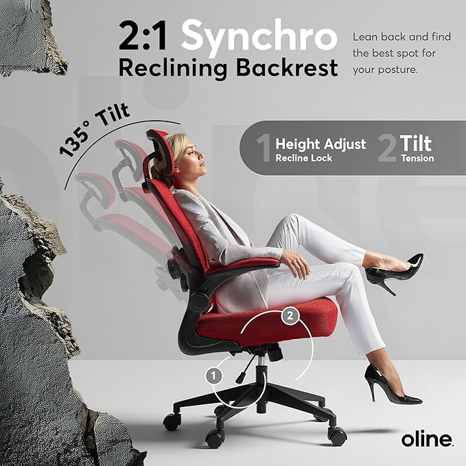 Oline ErgoAir Ergonomic Office Chair – Adjustable Lumbar Support, Flip-Up