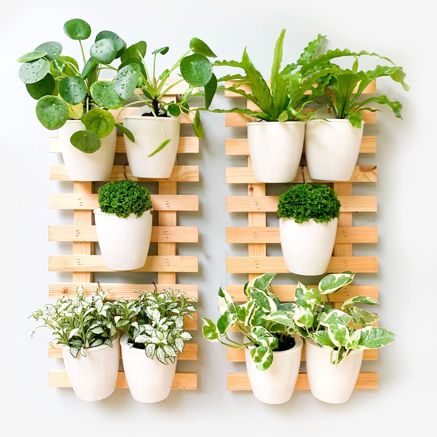 ShopLaLa Bundle- 2 Pack, 23.6 Inch Wooden Plant Holder + 10 Pack, 4 Inch White Self Watering Plastic Pot Modern Hydroponic Vertical Live Garden Display Wall Mount Plant Stand Home Living Room Decor