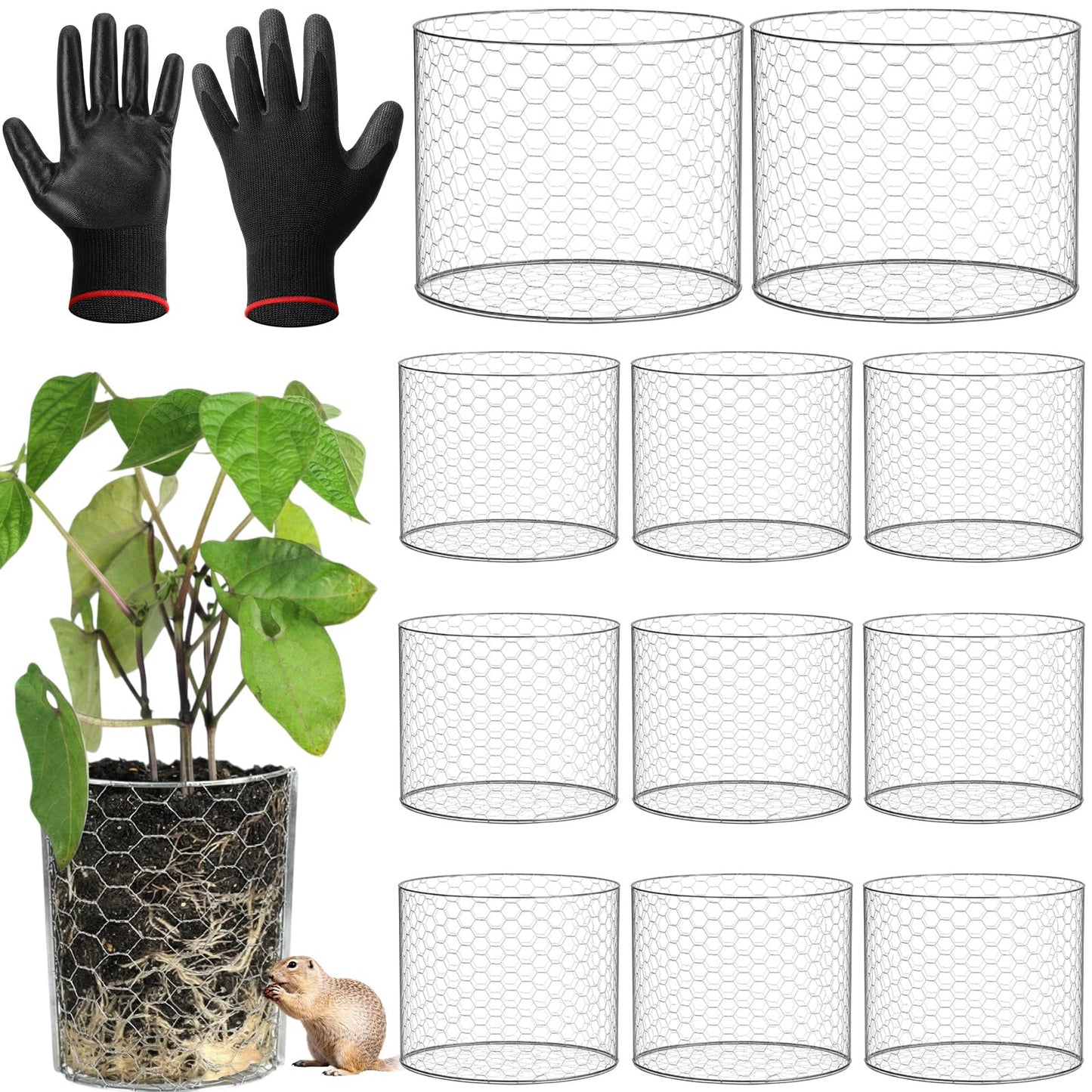 Yaocom 12 Pcs 3 Gallon Heavy Duty Gopher Wire Baskets Hexagonal Galvanized Mesh for Shrubs Vines Bushes Plant Root Protection
