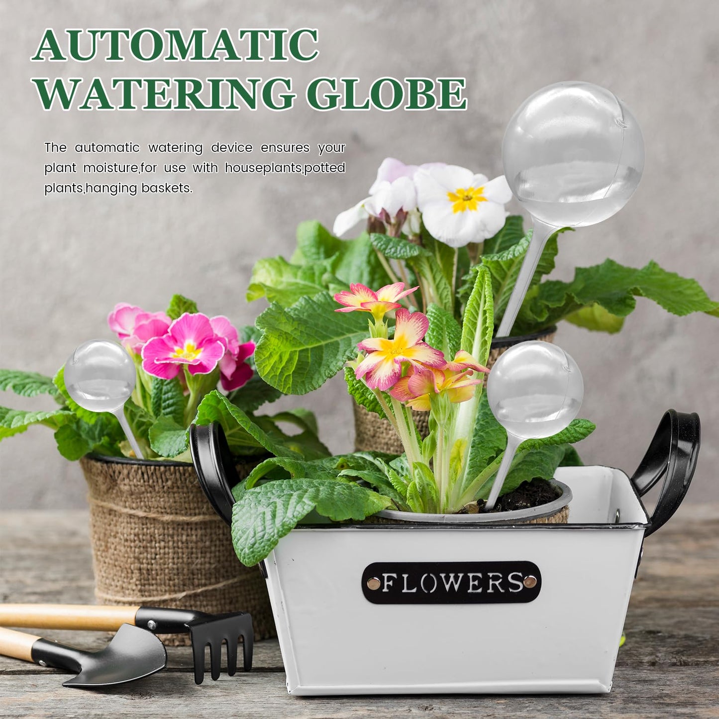 Cmaqpw 20 PCS Plant Watering Globes,Plastic Clear Watering Bulbs,Self Watering Flower Automatic Watering Device for Home Garden Plants Indoor,Outdoor,Flowerpot,(Large,Medium,Small)