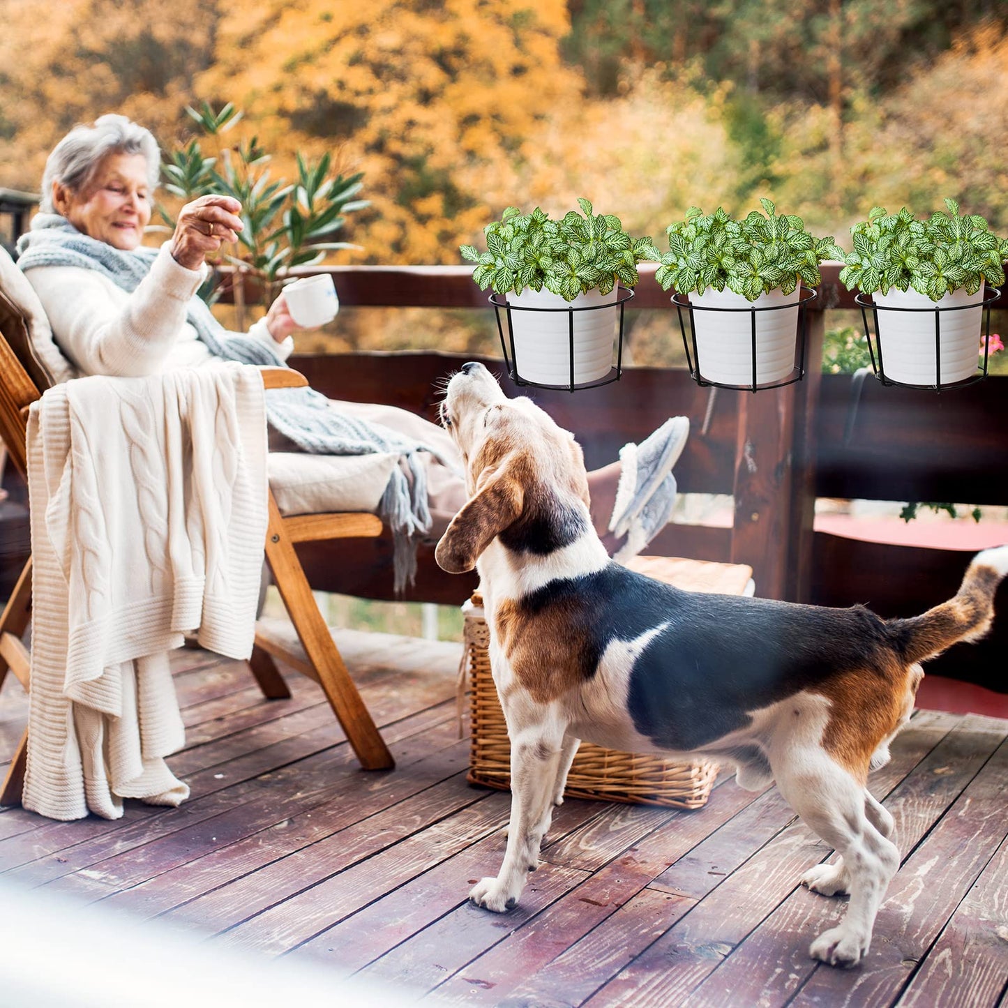Wesiti 10 Pcs Round Hanging Railing Planters Outdoor Balcony Planters Metal Hanging Baskets Flower Pot Holder for Fence Indoor Porch Shelf Container(8 Inch,Black)