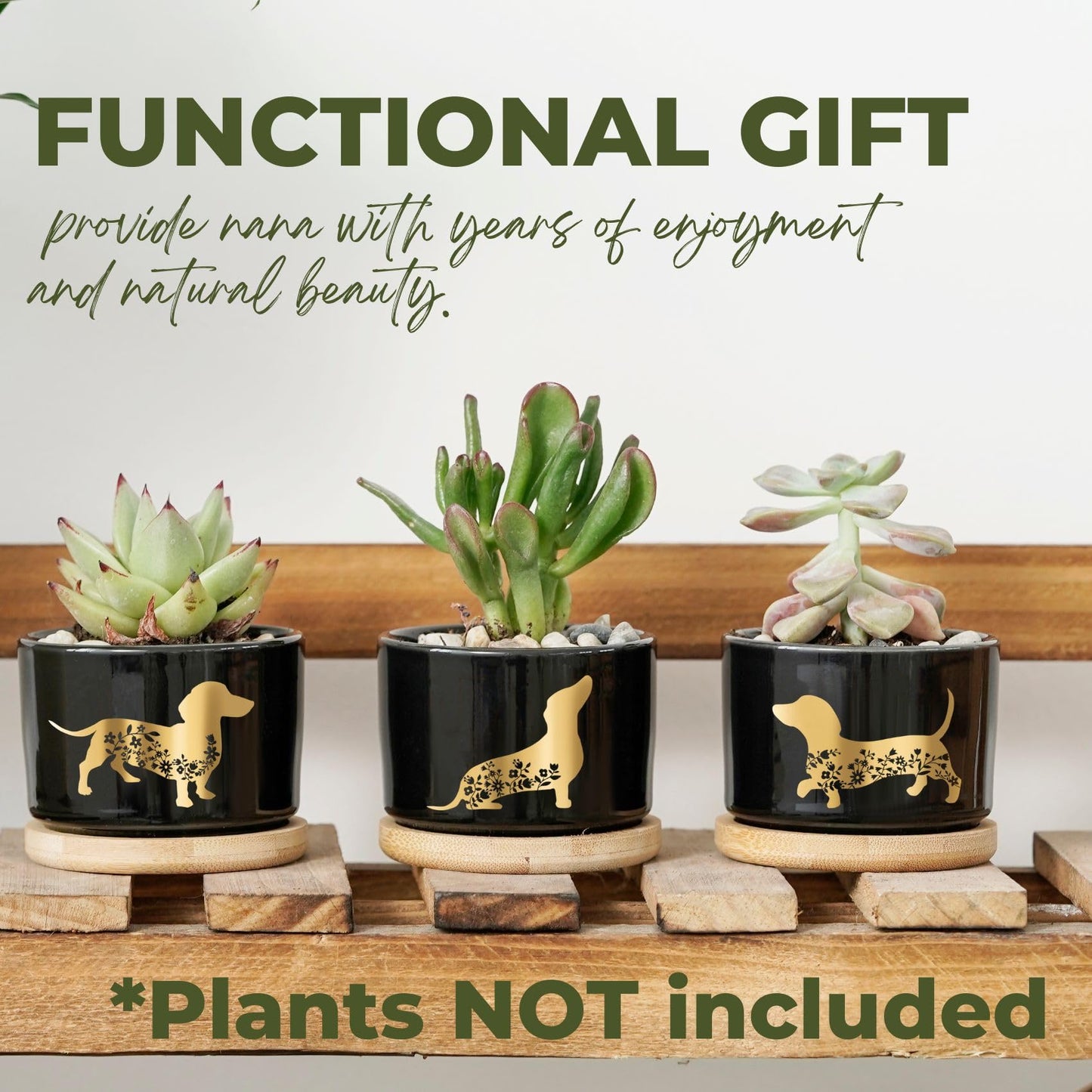 InnoBeta Dachshund Gifts Succulent Plant Pots 3pcs, Gifts for Dachshund Lovers, Planter Pot with Bamboo Tray, Plants NOT Included, Cute Ceramic Pots for Birthday, Christmas