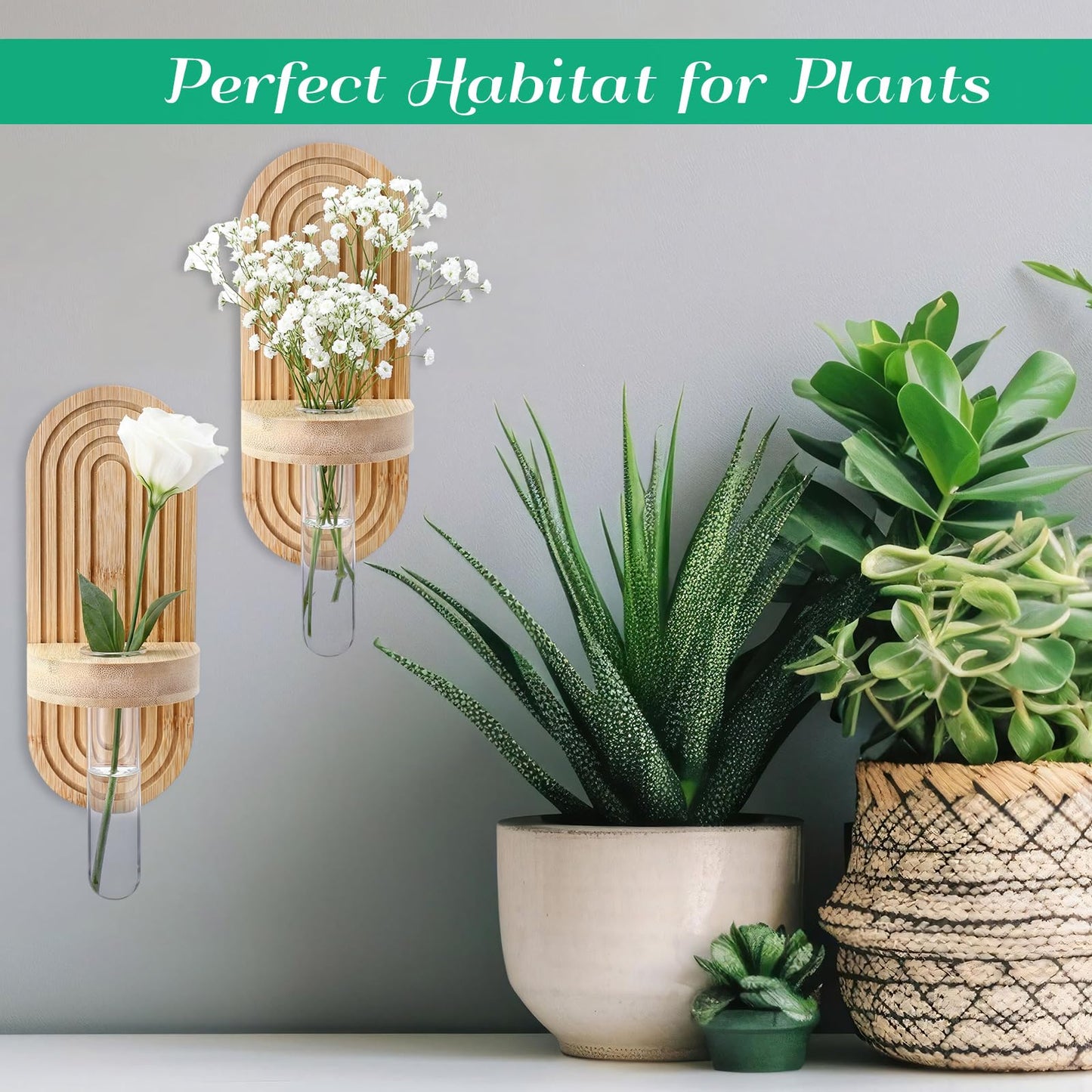 Beeveer 4 Sets Hanging Plant Propagation Stations Bamboo Wood Wall Mounted Test Tube Vase Rustic Decorative Glass Planter Holder Gift for Women Plant Lover Hydroponic Flowers Home and Office Decor