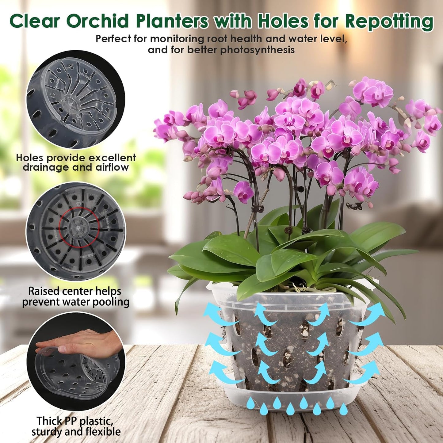 12 Orchid Pots with Holes and Saucers for Repotting, 4" 5" 5.6" 6" Clear Orchid Pot with Green Orchid Stick Clip, Breathable Slotted Plastic Orchid Planter with Drainage for Root Health Indoor Outdoor