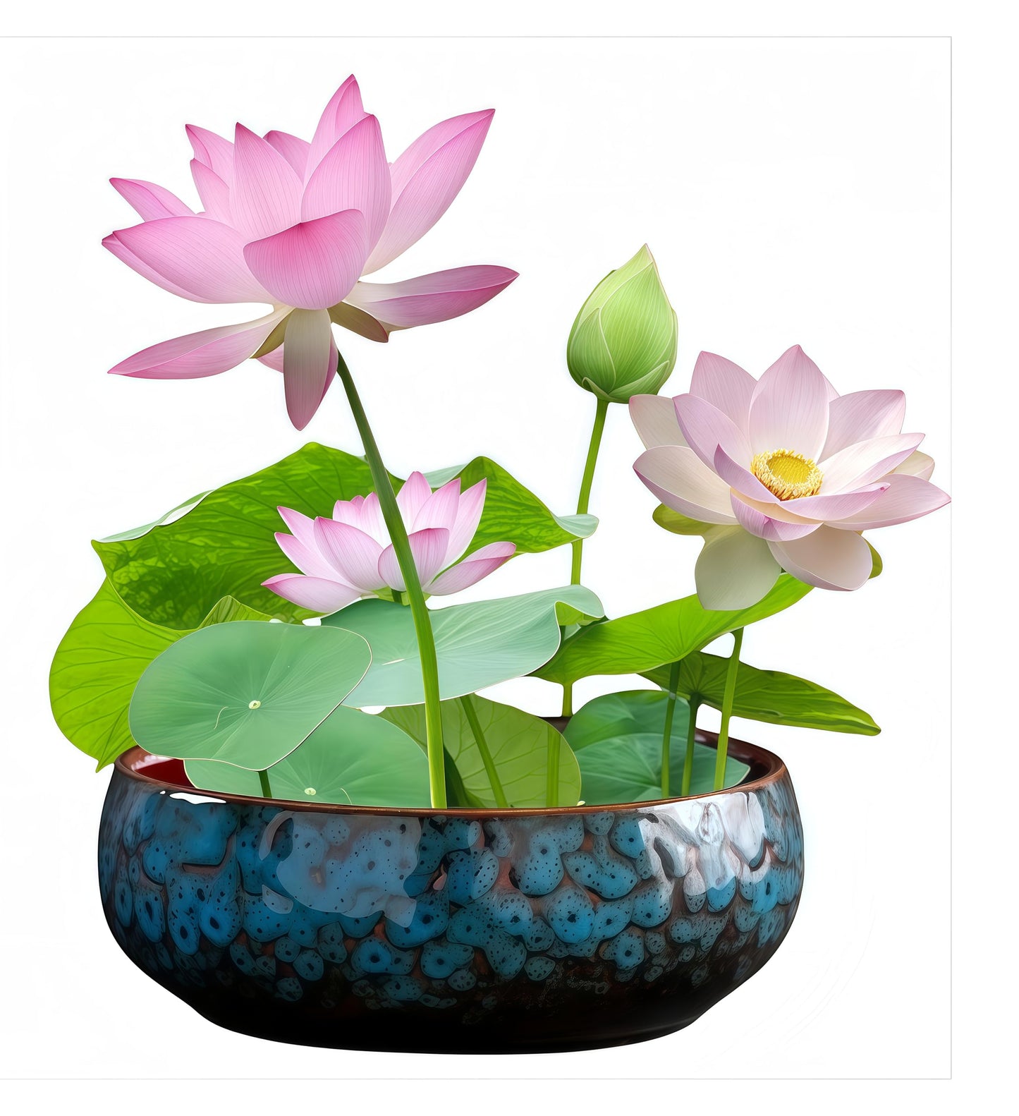 Lotus Bowl Planter, Lotus Bowls for Planting in Water Indoors, Bonsai Bowl Lotus Flower Seeds, Ceramic Planters for Indoor Plants, Applicable to Succulent Plants Hydroponic Plant. (Kiln Turning Blue)
