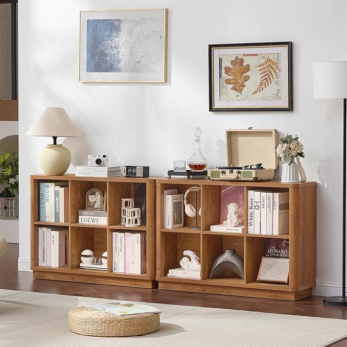 Joaxswe 6 Cube Storage Book Shelf, Floor Standing 2-Tier Wooden Bookshelf