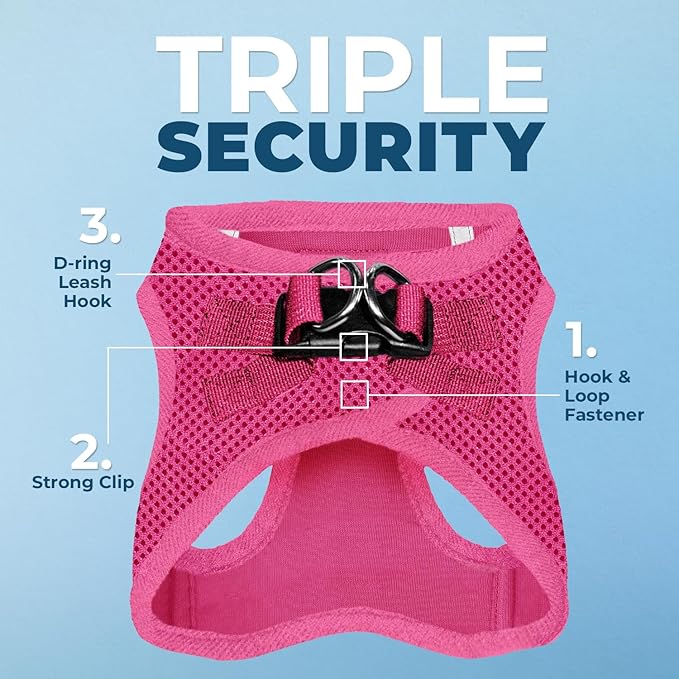 Best Pet Supplies Voyager Step-in Air All Weather Mesh Harness and Reflective Dog 5ft Leash Combo with Neoprene Handle, for Small, Medium and Large Breed Puppies - Fuchsia, Small