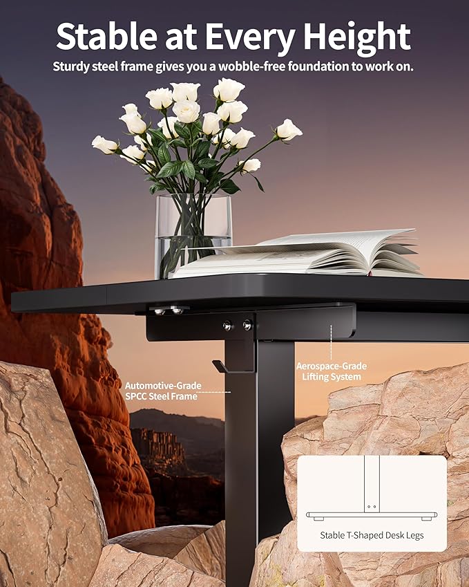 BIZUM Electric Standing Desk 60 x 24 Inch Computer Desk-Gaming Desk Black Home