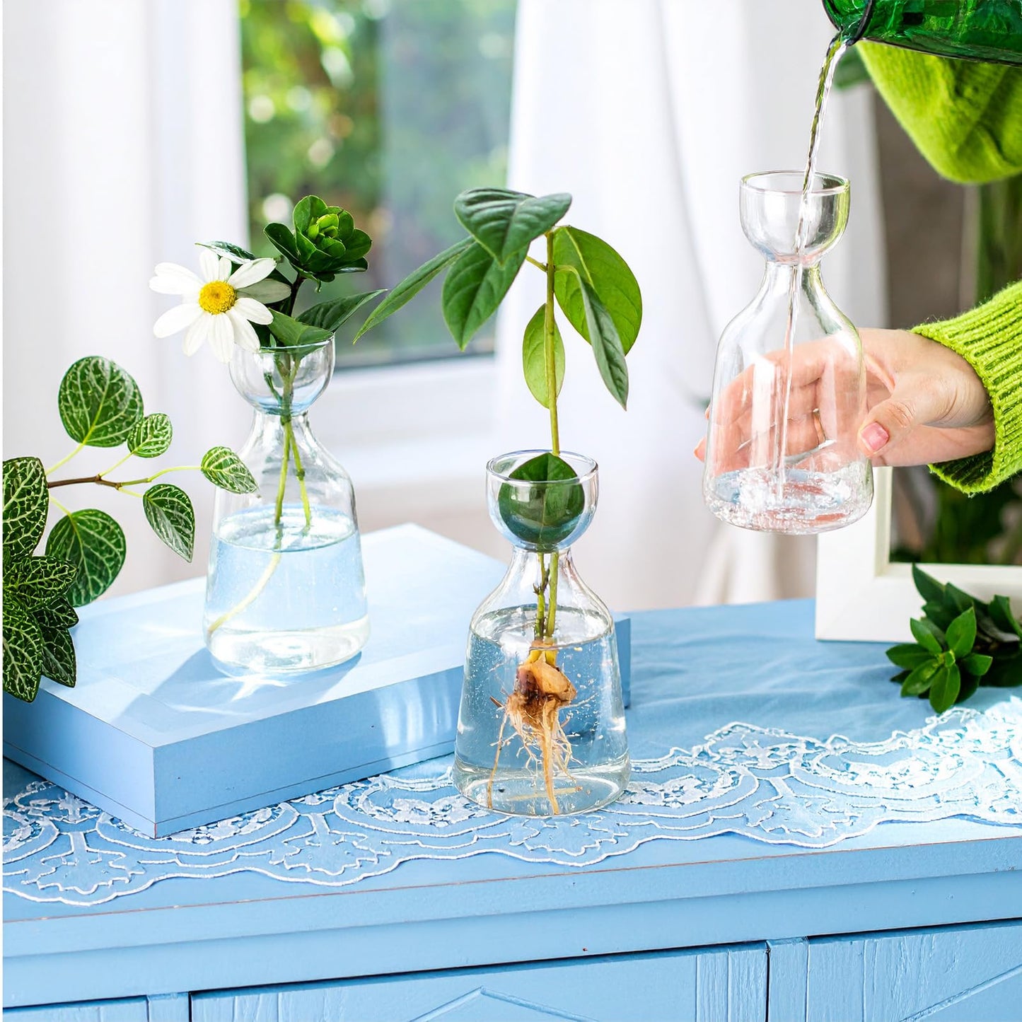 3 Pcs Acorn Vases Glass Avocado Vase Avocado Glass Vase for Growing, Hydroponics Terrariums Pot Deco Indoor Bulb Vasees Propagation Vases for Home Table Desk Indoor Decor Gardening Lover Gifts
