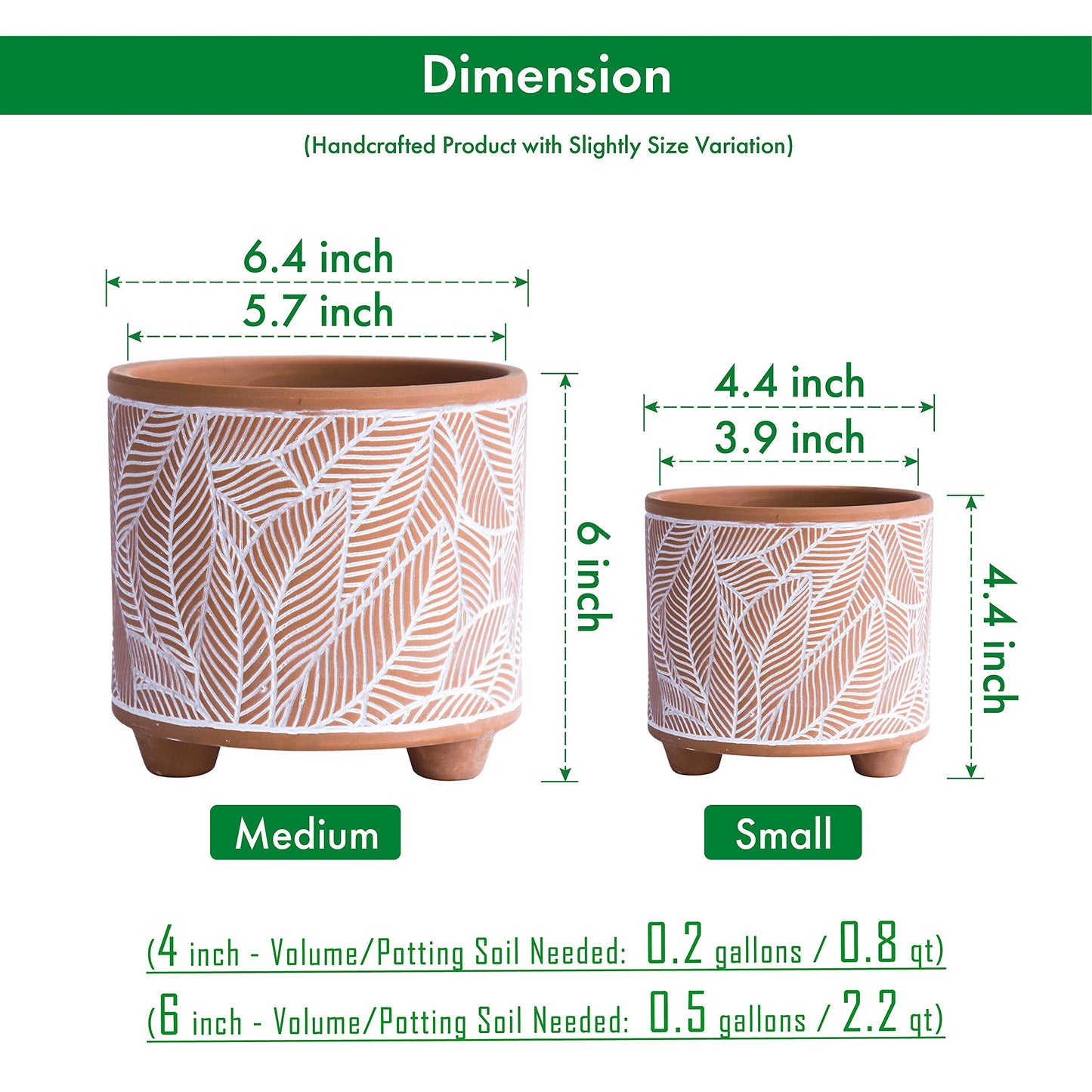 D'vine Dev Set of 2 Terracotta Planter Pots, 4 Inch & 6 Inch, Design Plants Pot with Drainage Hole, Sahara Fern, Terracotta/White, 31-953-H-1