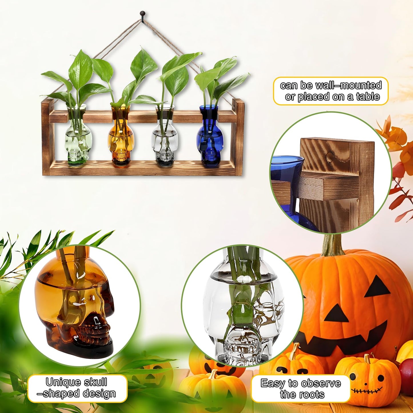 Plant Propagation Stations Halloween Skull Plant Terrarium Kit Glass Vases Gift for Father Air Planter Home Office Decor