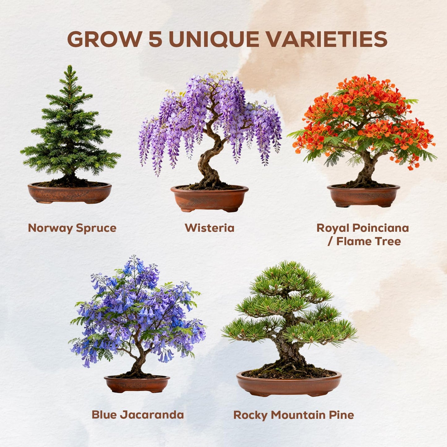 Bonsai Starter Kit for Adults – Complete Indoor Tree Growing Set with Jacaranda Seeds, Tools & Planter | DIY Gardening Hobby Kits for Plant Lovers, Unique Easter Gifts for Men & Women