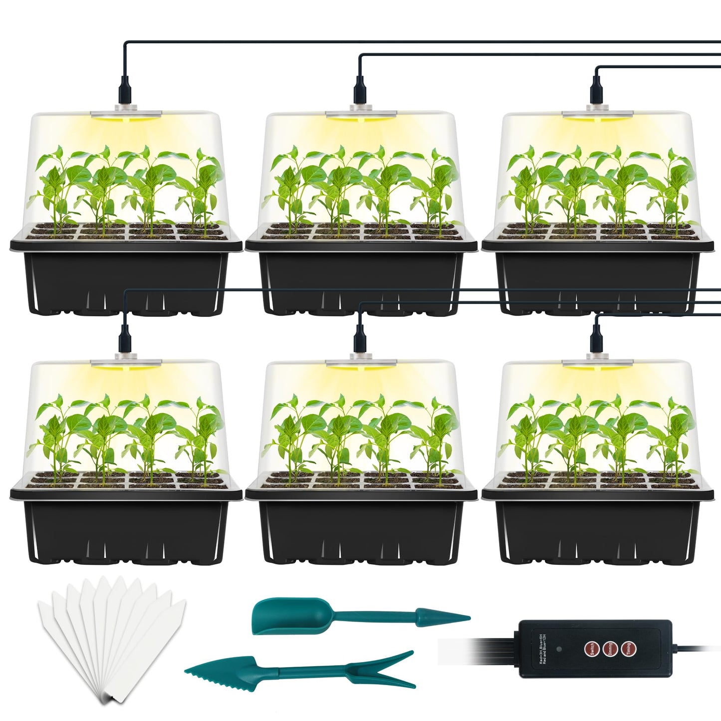LYDTICK 6-Set Seed Starter Tray with Grow Light, Seed Starting Trays Kits with Timing Controller Adjustable Humidity Domes Heightened Lids(12-Cells Per Tray)