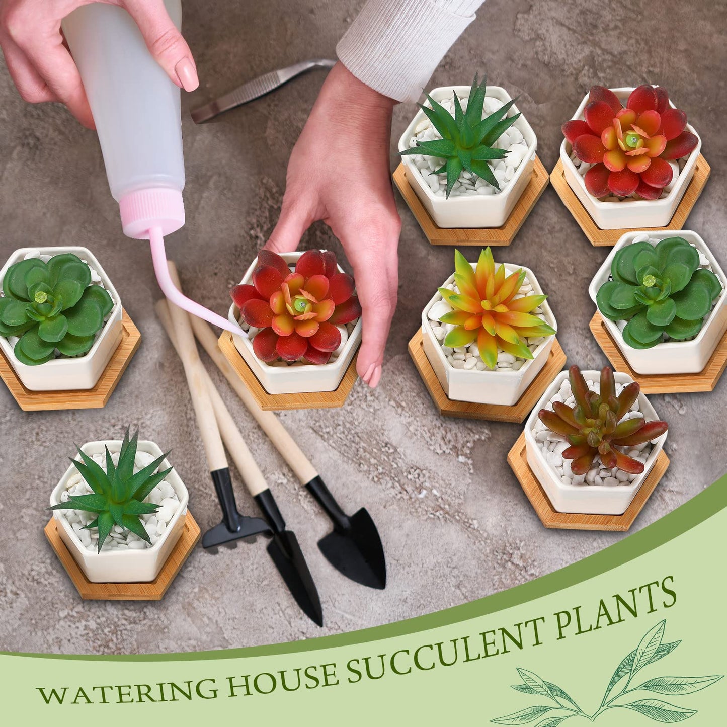 Gerrii Succulent Pots Mini White Ceramic Flower Planter Pot Succulent Planters with Wooden Trays and Drainage Holes for Plants Cactus Home Office Decoration, Plants Not Included(24 Pcs)