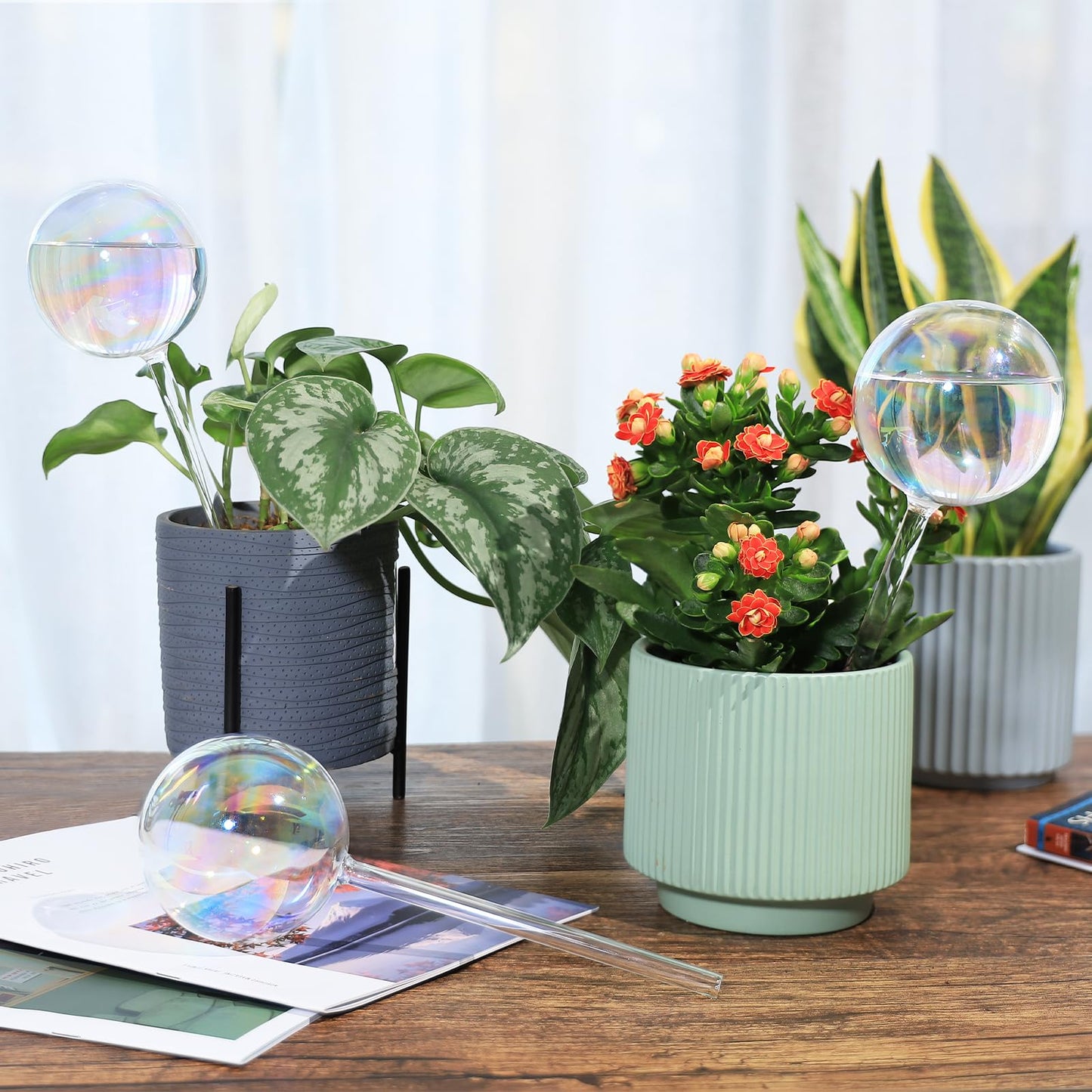 Soilagua 13 oz Extra Large Wick-Controlled Plant Watering Globes, Self Watering Globes for Everyday and Vacation Use, Iridescent Glass Water Bulbs, Automatic Plant Waterer, 4 Pack