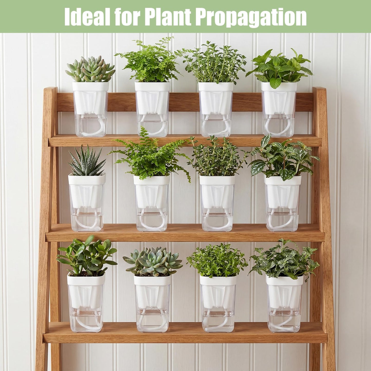 RimCereal 30 Pack 2.5" Small Self Watering Pots for Indoor Plants Clear Mini Self Watering Plant Pot with Water Level, Drainage Holes 30 Plastic Label 3 Planting Tools, Rope for Propagation Succulents