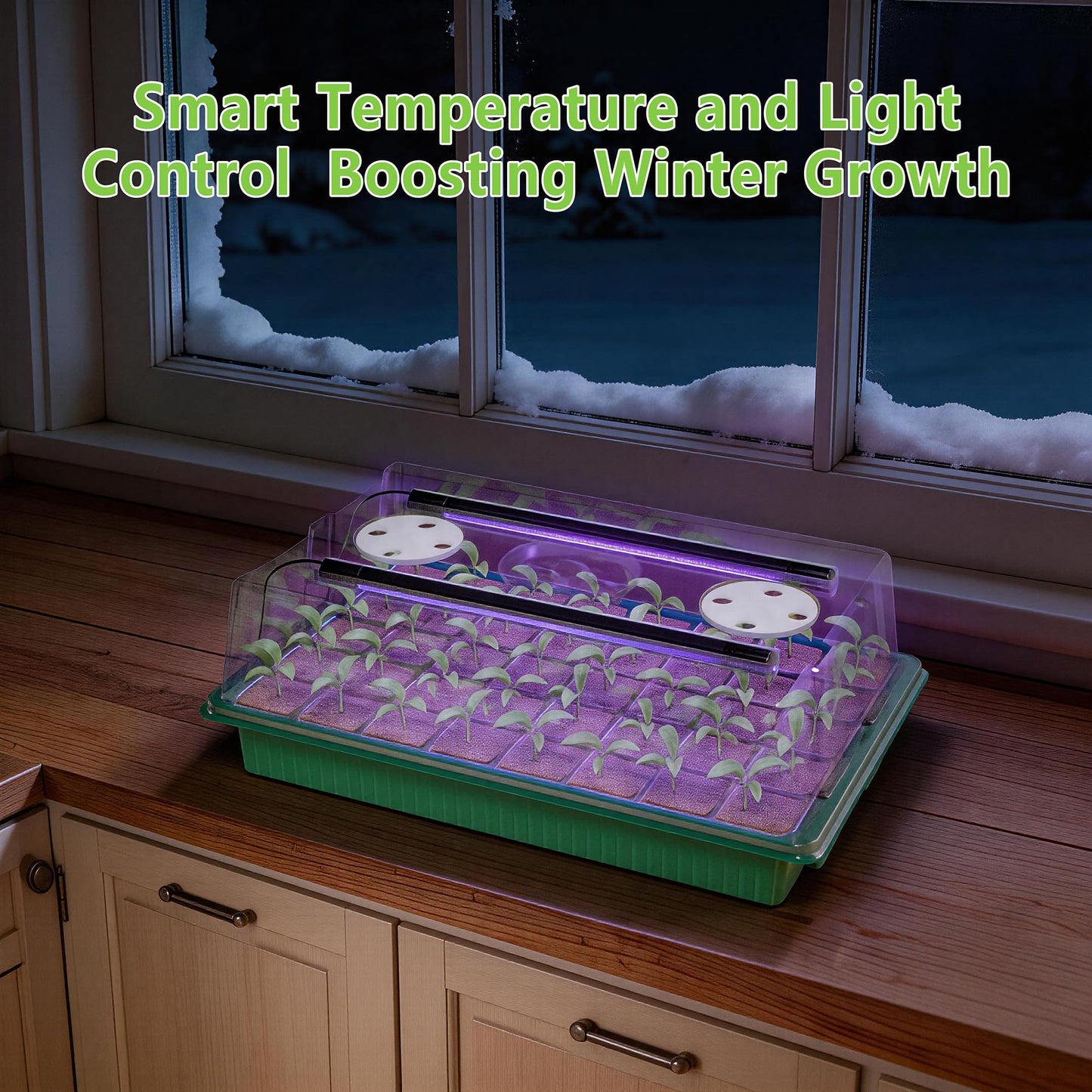 AWUREYIT Seed Starter Tray with Grow Light, 2 Pack 80 Cells Seed Starter Kit, Complete System with Humidity Dome, Full Spectrum LED, Dimmable Timer for Indoor Gardening & Seedlings