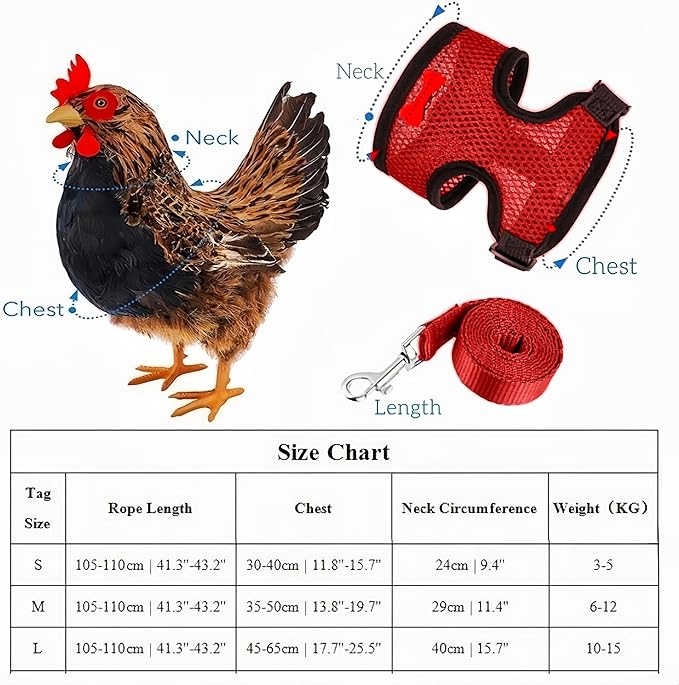 3 Pack Chicken Harness and Leash Set Adjustable Hen Vest with Matching Belt Breathable Mesh Training Harness Pets Leash for Hens Duck Goose Small Pet-Black&Red&Pink,M
